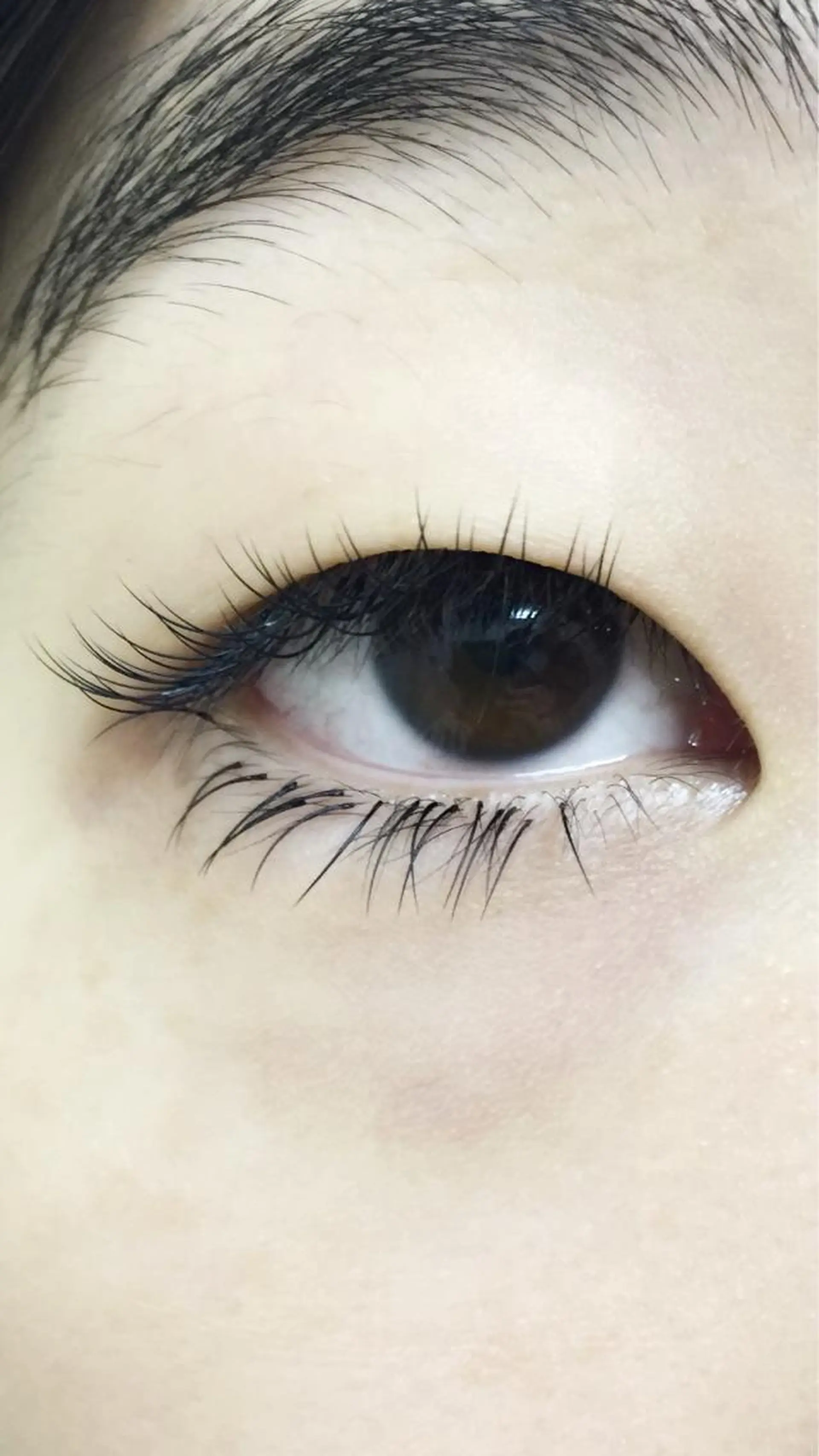 マツエク・マツパ Cカール Jカール 下まつげエクステ 一重×まつ毛パーマ linda lashesのマツエク・マツパデザイン