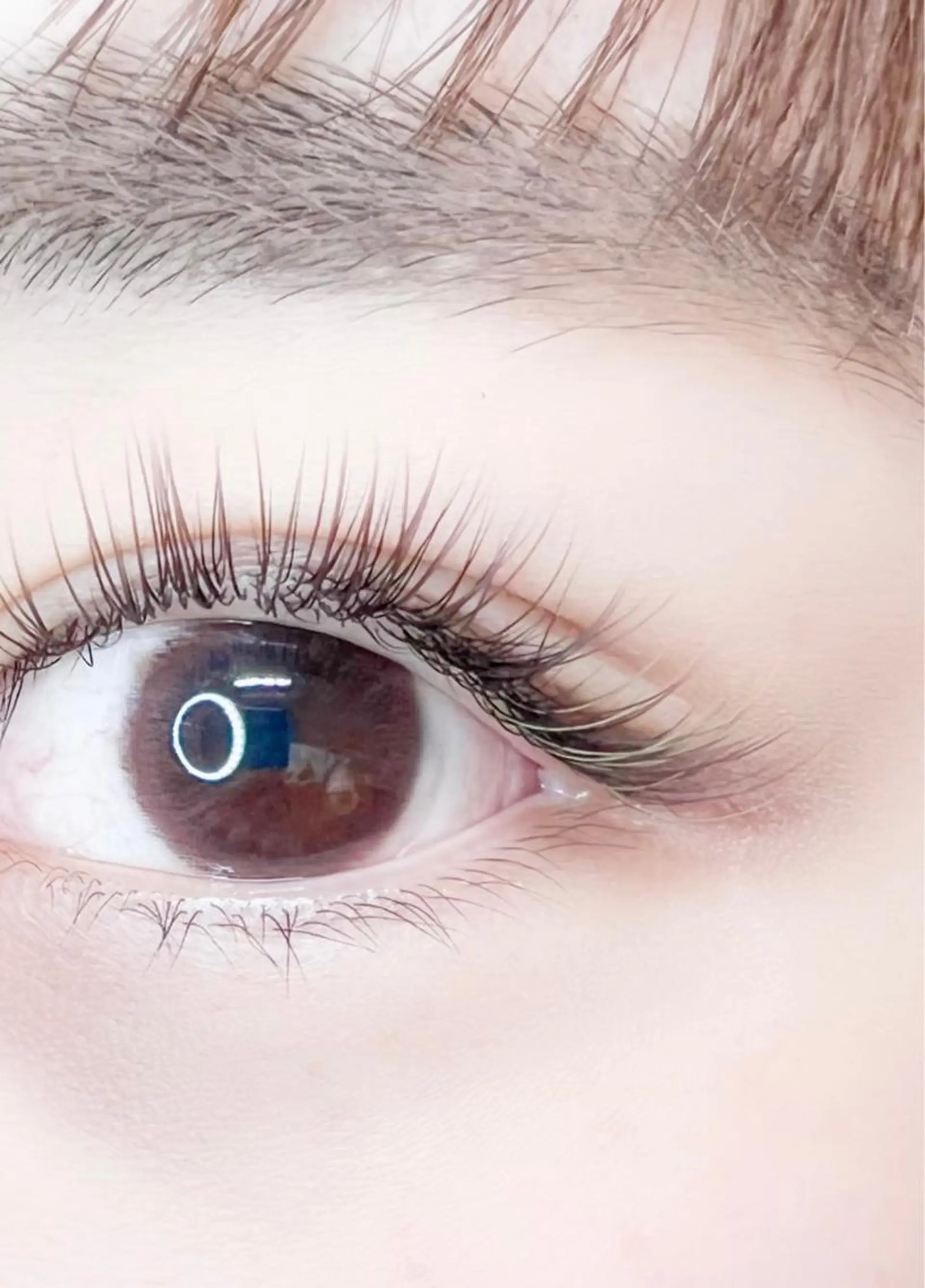 マツエク・マツパ Dimples eyelashのエステ・リラクイメージ