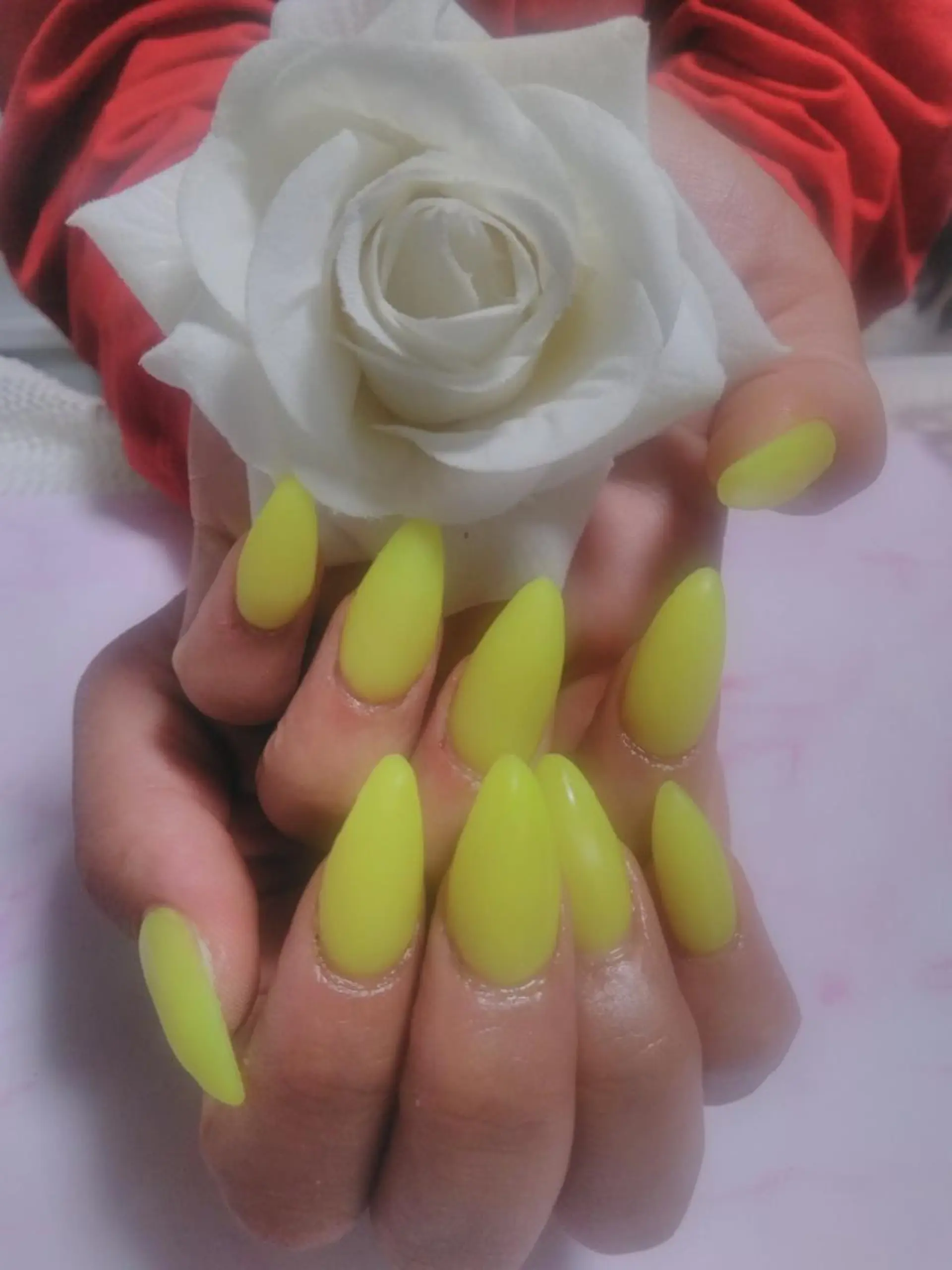 ネイル ワンカラーネイル スカルプネイル エステとネイル ローズコンフォートのネイルデザイン