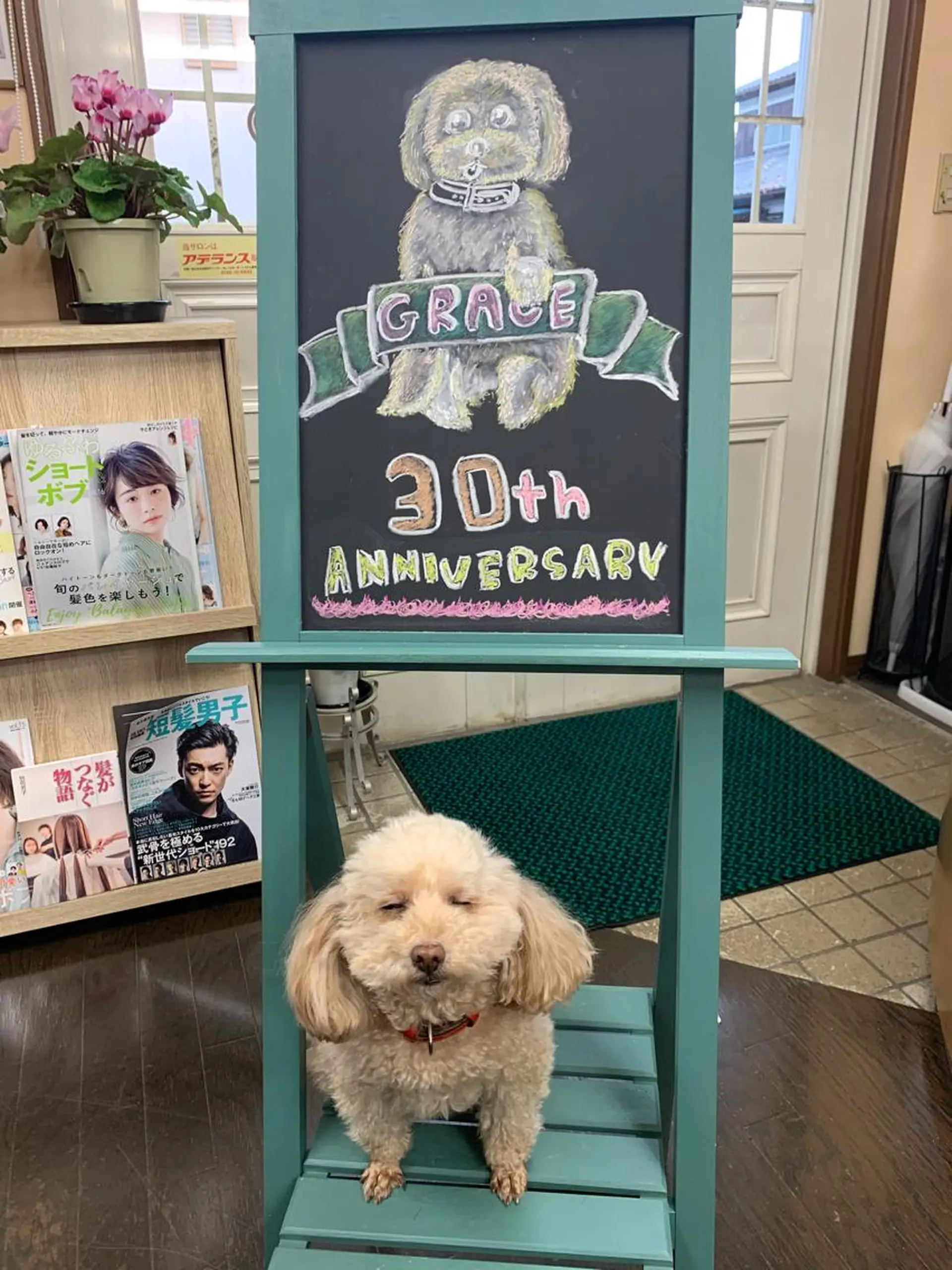 ショート カラー メンズ パーマスタジオ グレイス はやとのヘアスタイル