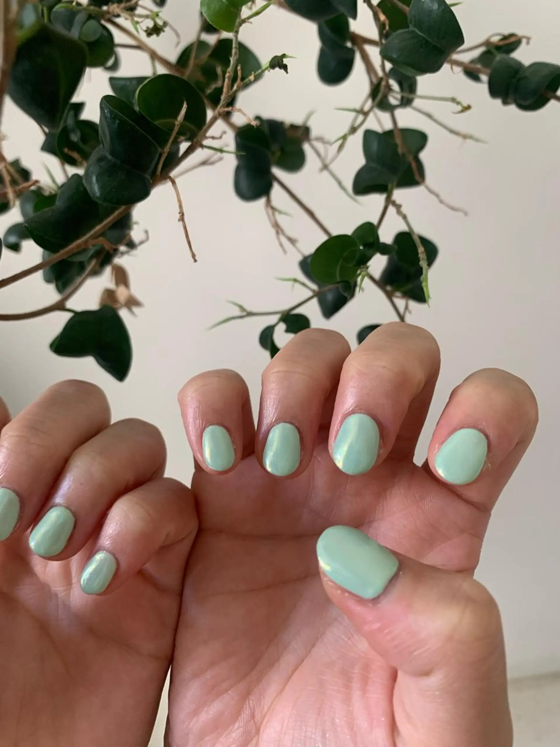 ネイル オーロラネイル ワンカラーネイル 【韓国ヘア・ネイル】 HINATA🍒のネイルデザイン