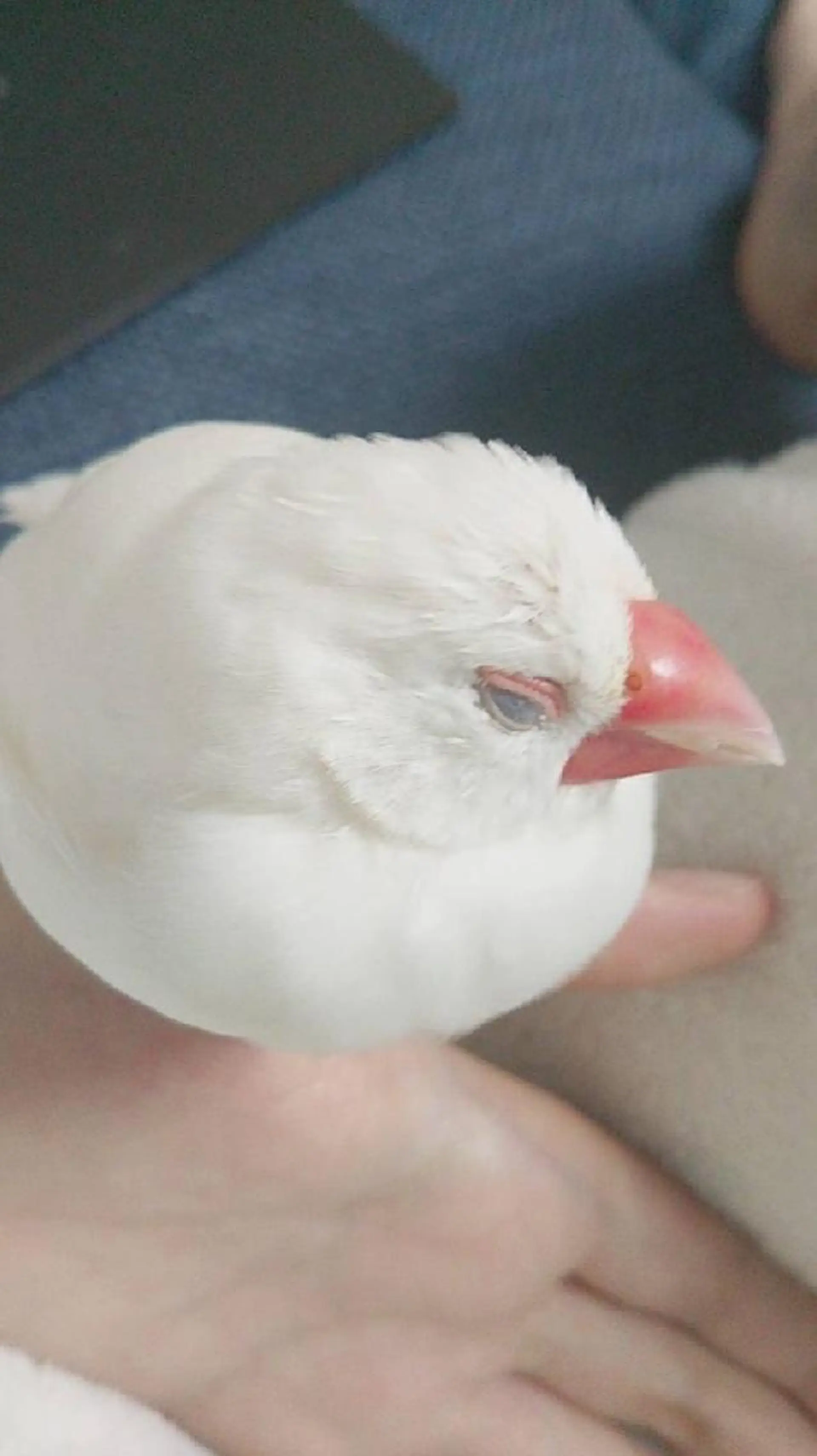 g*rossa高橋 くみこのエステ・リラクイメージ