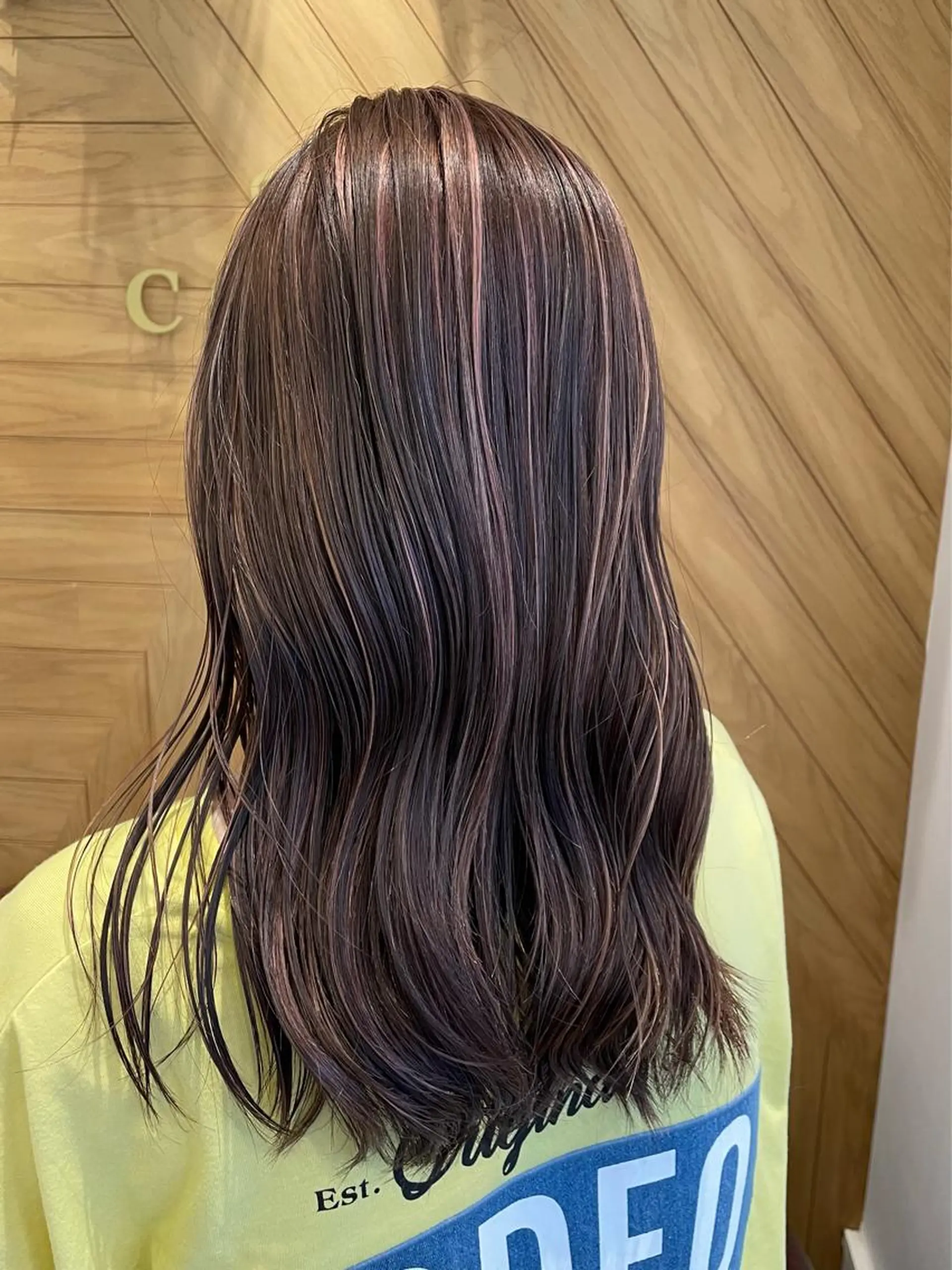 ロング カラー 鈴村 大介のヘアスタイル