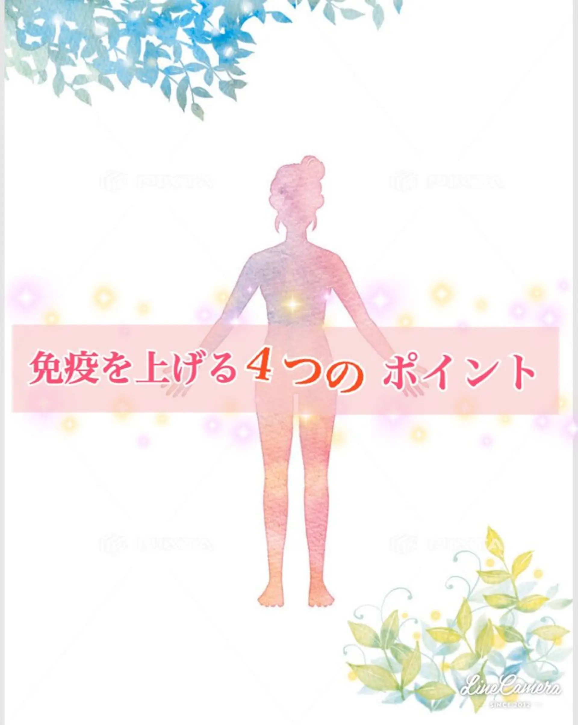 ショート カラー パーマ ヘアアレンジ メンズ キッズ ネイル マツエク・マツパ ‍痩身＆ボディ 結果出し🌟丹野のエステ・リラクイメージ