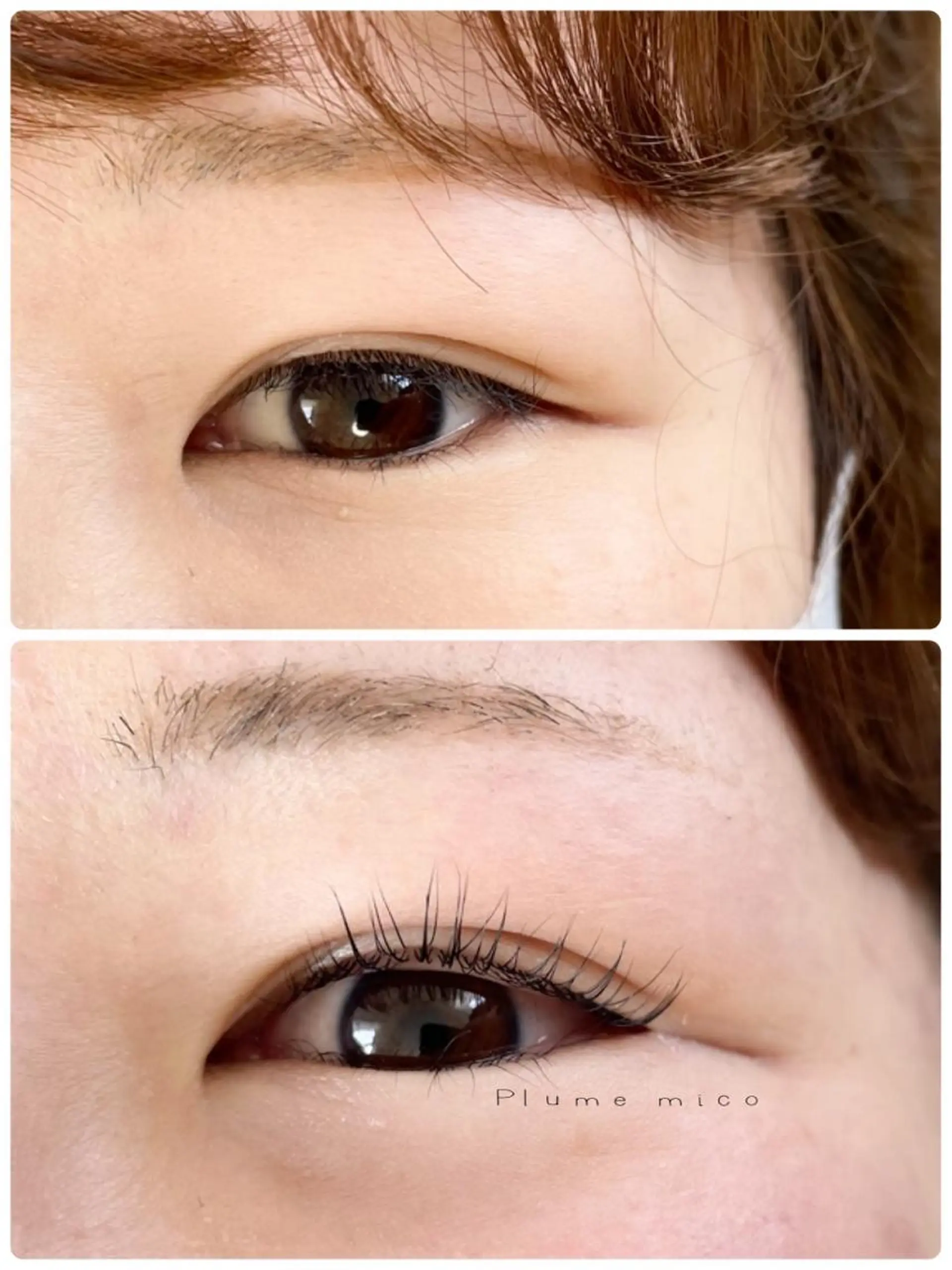 マツエク・マツパ マツパ Plume micoのマツエク・マツパデザイン