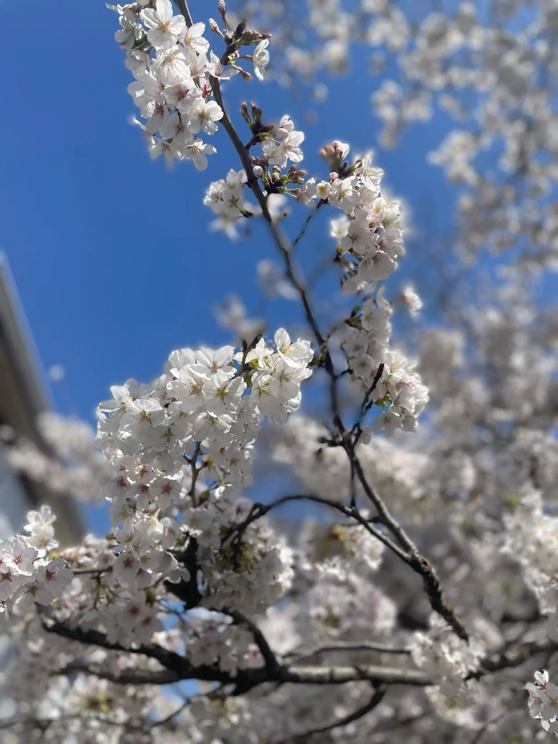 メンズ キッズ 脱毛SALON RaYNiCKのエステ・リラクイメージ