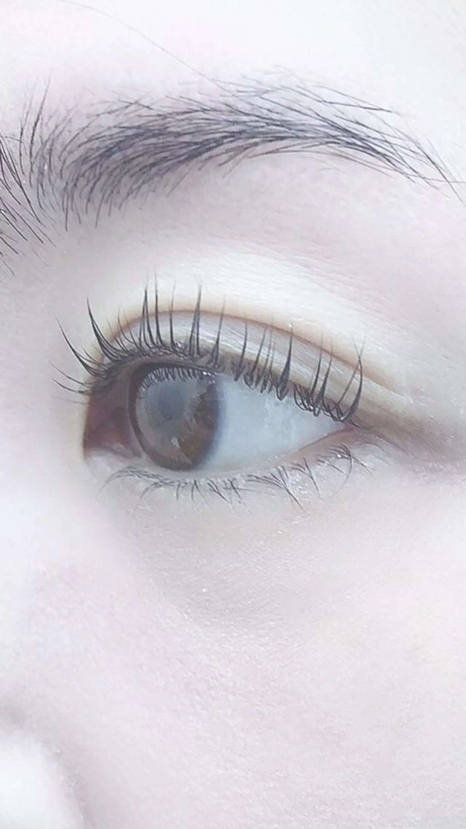 マツエク・マツパ Cカール ナチュラル まつげパーマ まつげパーマ専門店 シャルナ　新宿店のマツエク・マツパデザイン