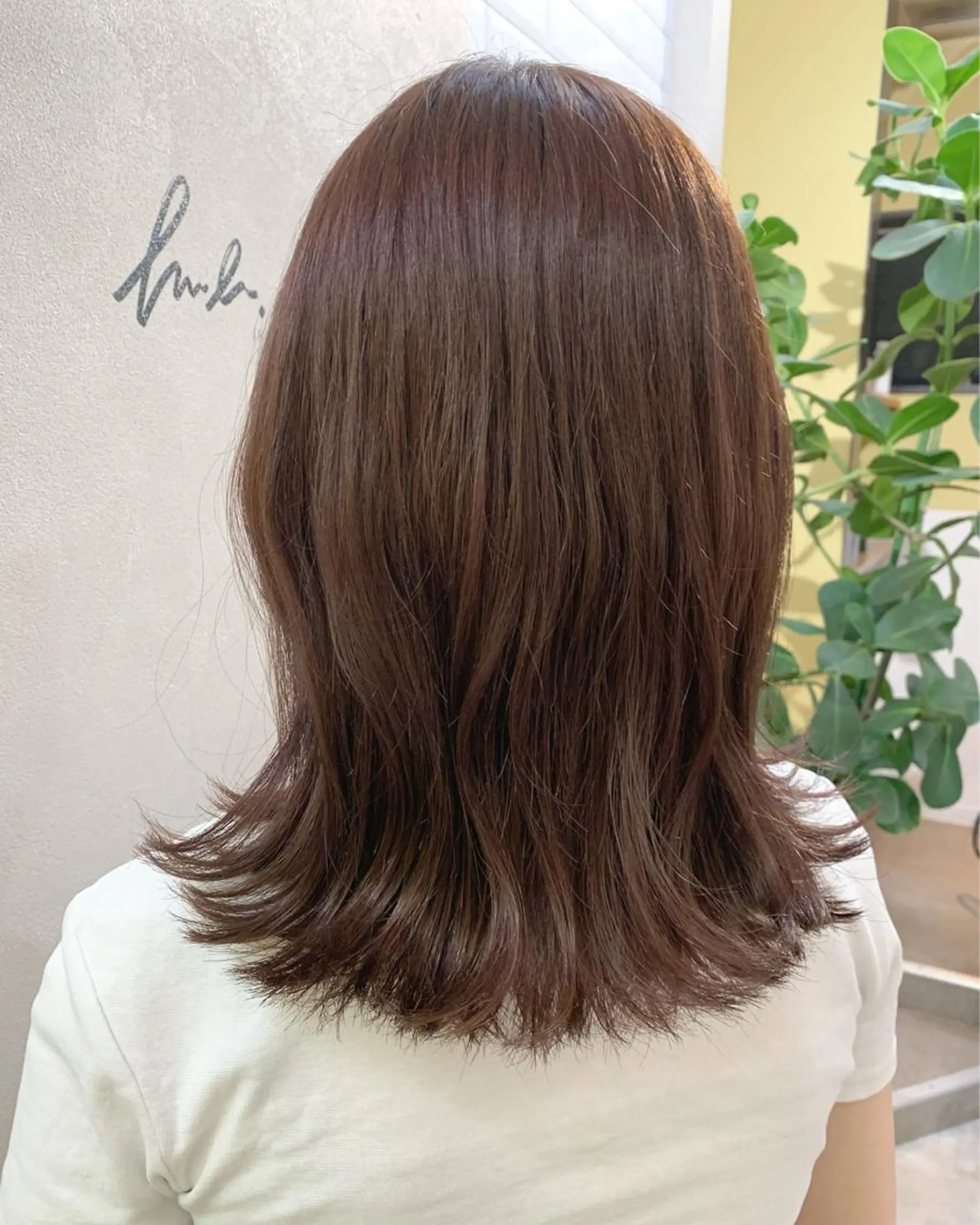 セミロング カラー ブラウンカラー hub hair レイヤー/透明感のヘアスタイル