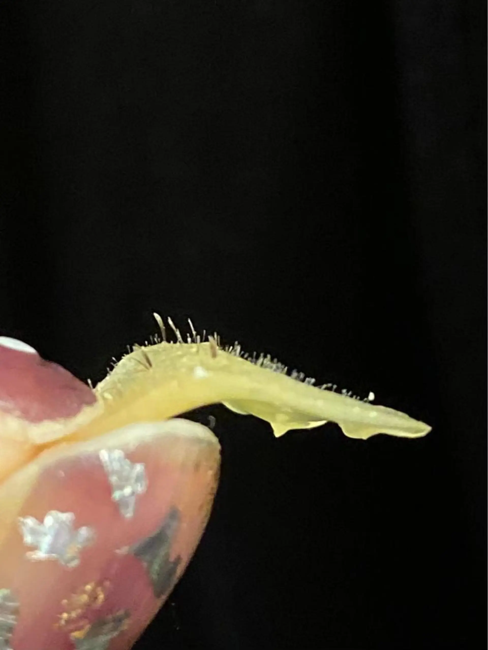 Moggy_ Ayaのエステ・リラクイメージ