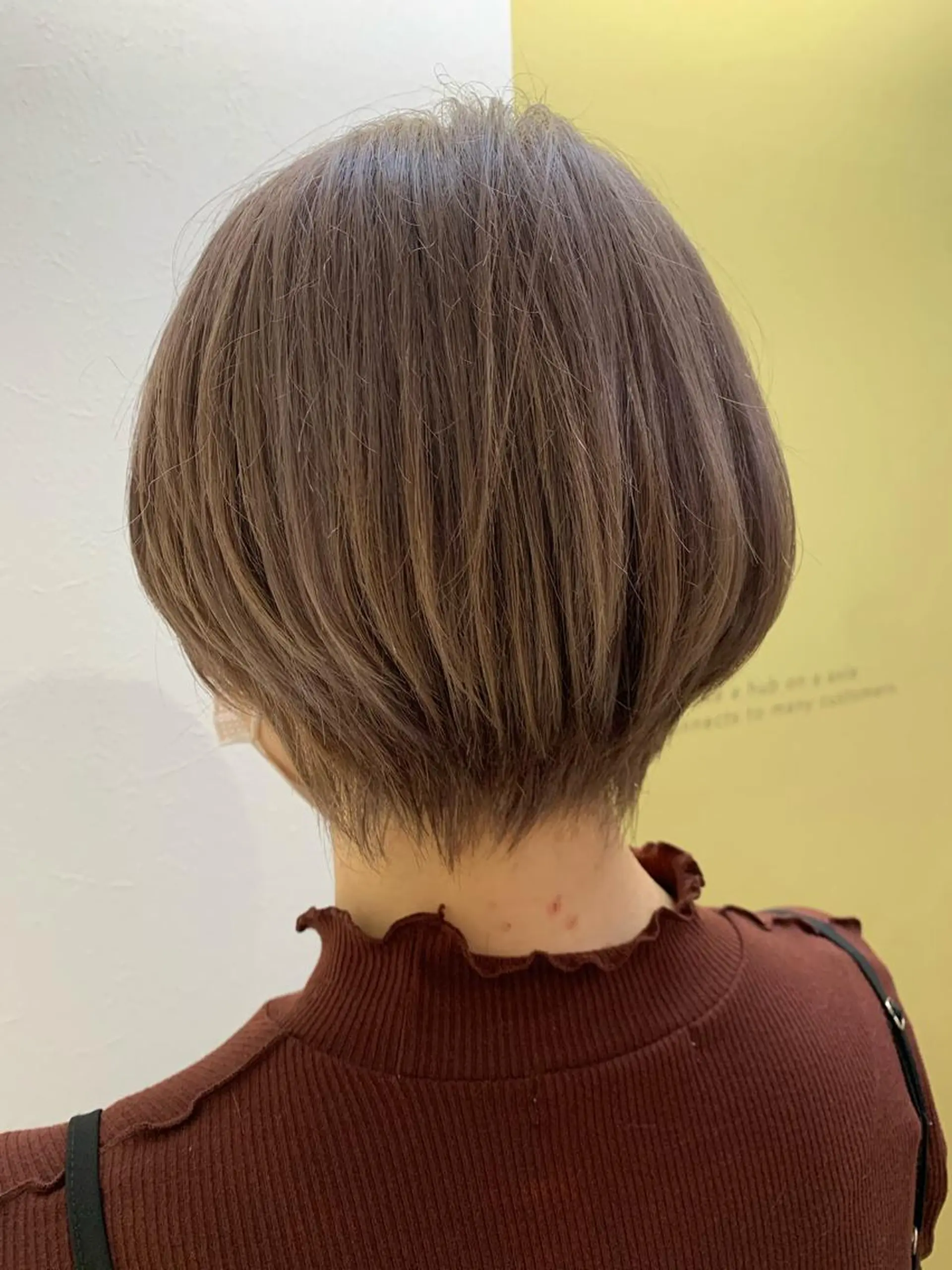 ショート カラー ベージュカラー ブリーチ ラベンダーカラー ラベンダーベージュ カット ヘアカラー トリートメント hub hair レイヤー/透明感のヘアスタイル