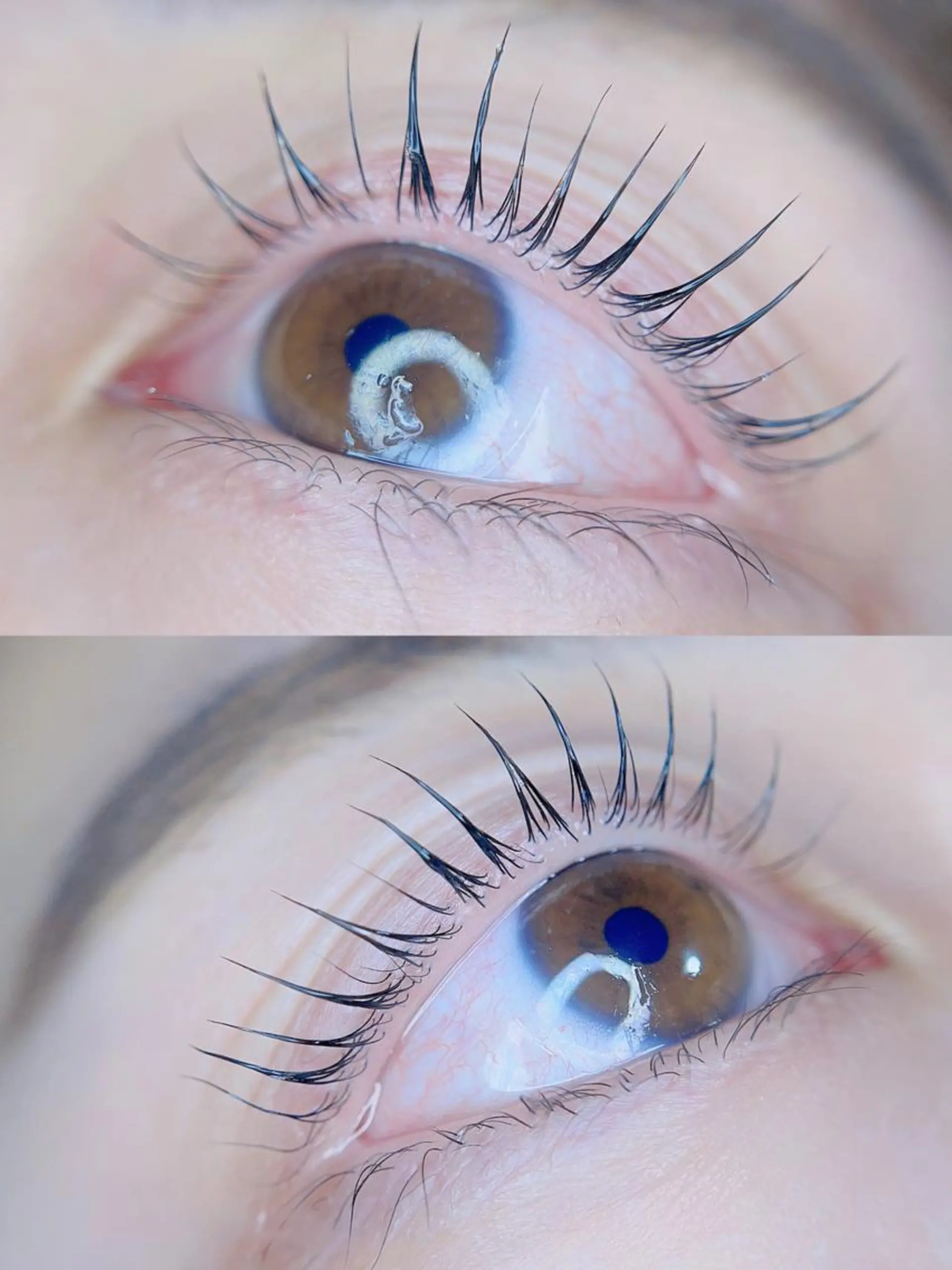 マツエク・マツパ パリエク専門店 FOIのマツエク・マツパデザイン