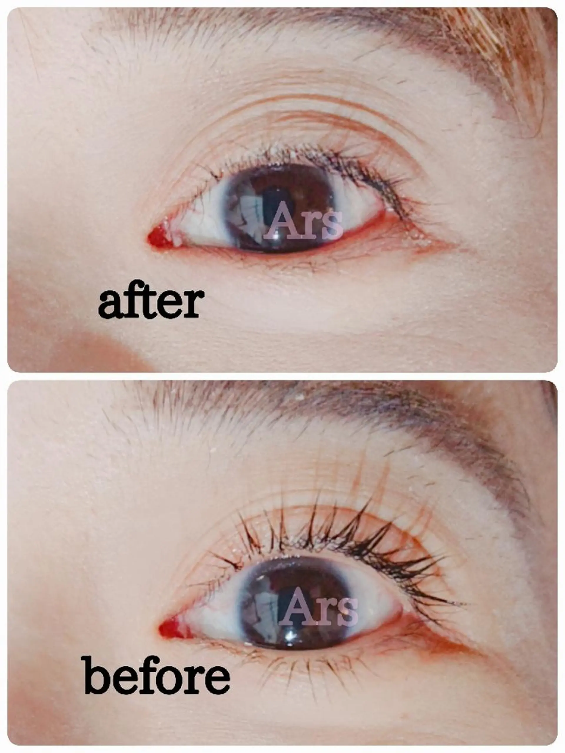 マツエク・マツパ アイリッドアップパーマ Ars      (ｱﾙｽ)のマツエク・マツパデザイン