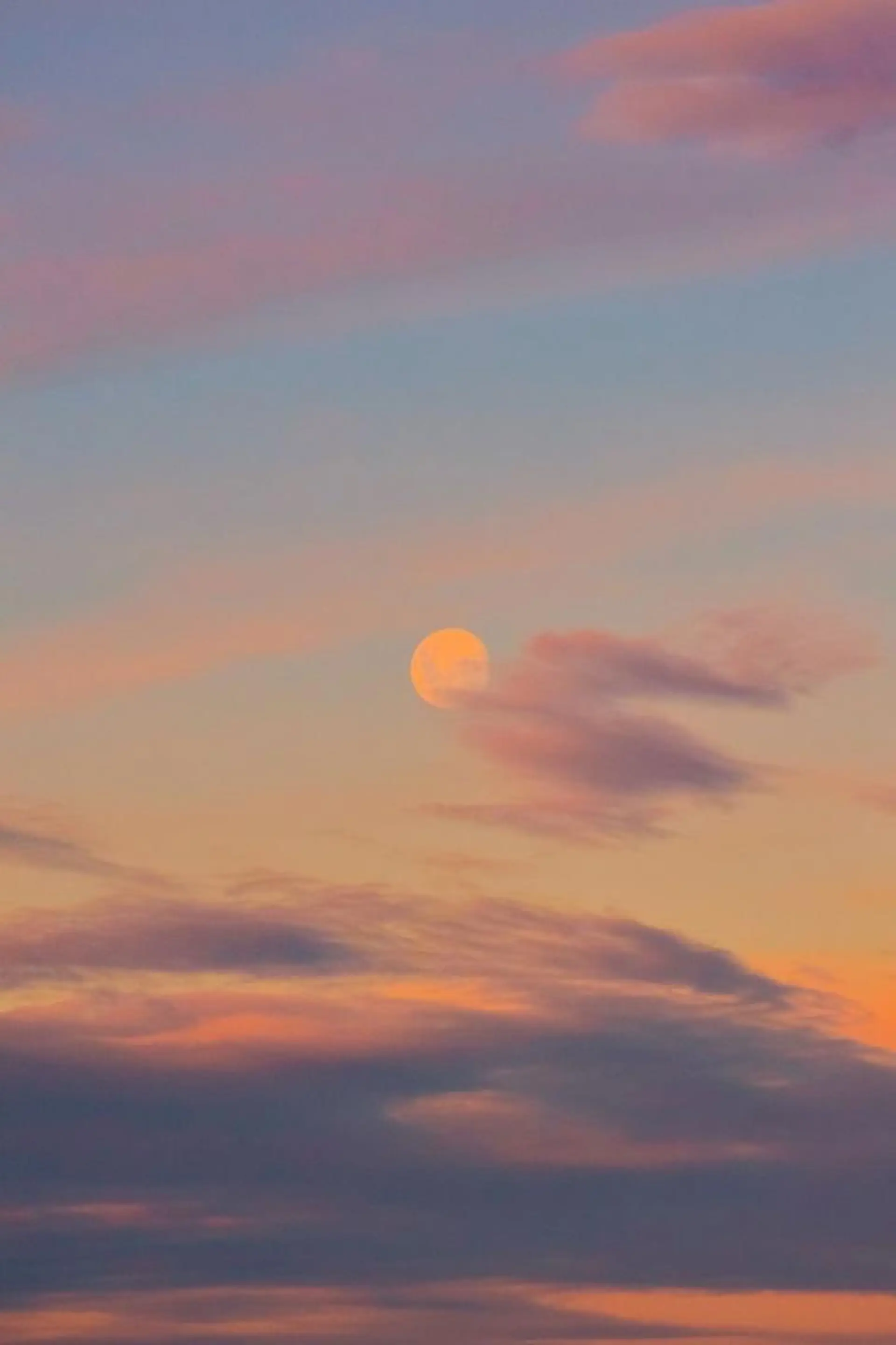 ∴Sanae. ∴ トータルビューティーのマツエク・マツパデザイン