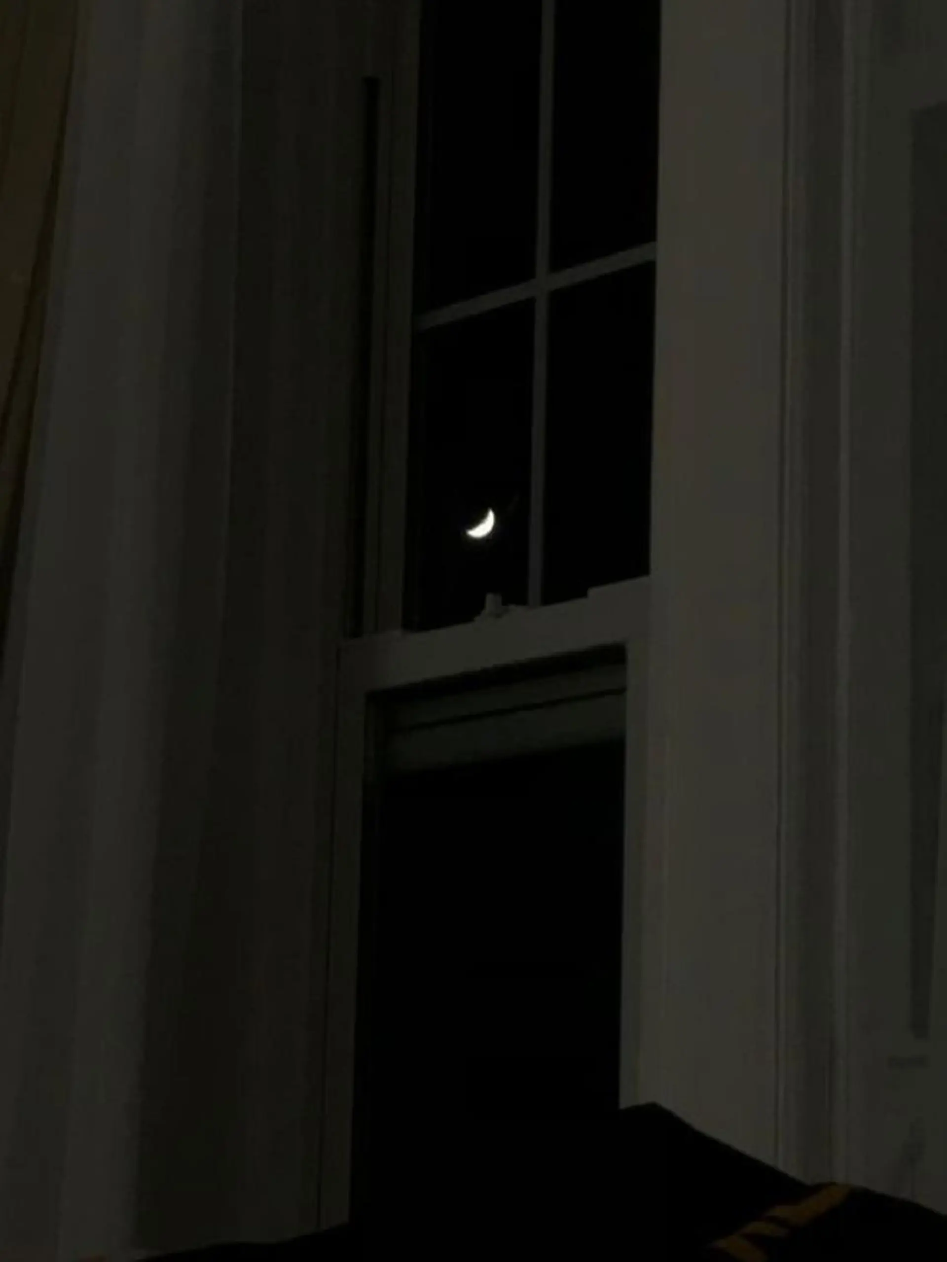 ∴Sanae. ∴ トータルビューティーのマツエク・マツパデザイン