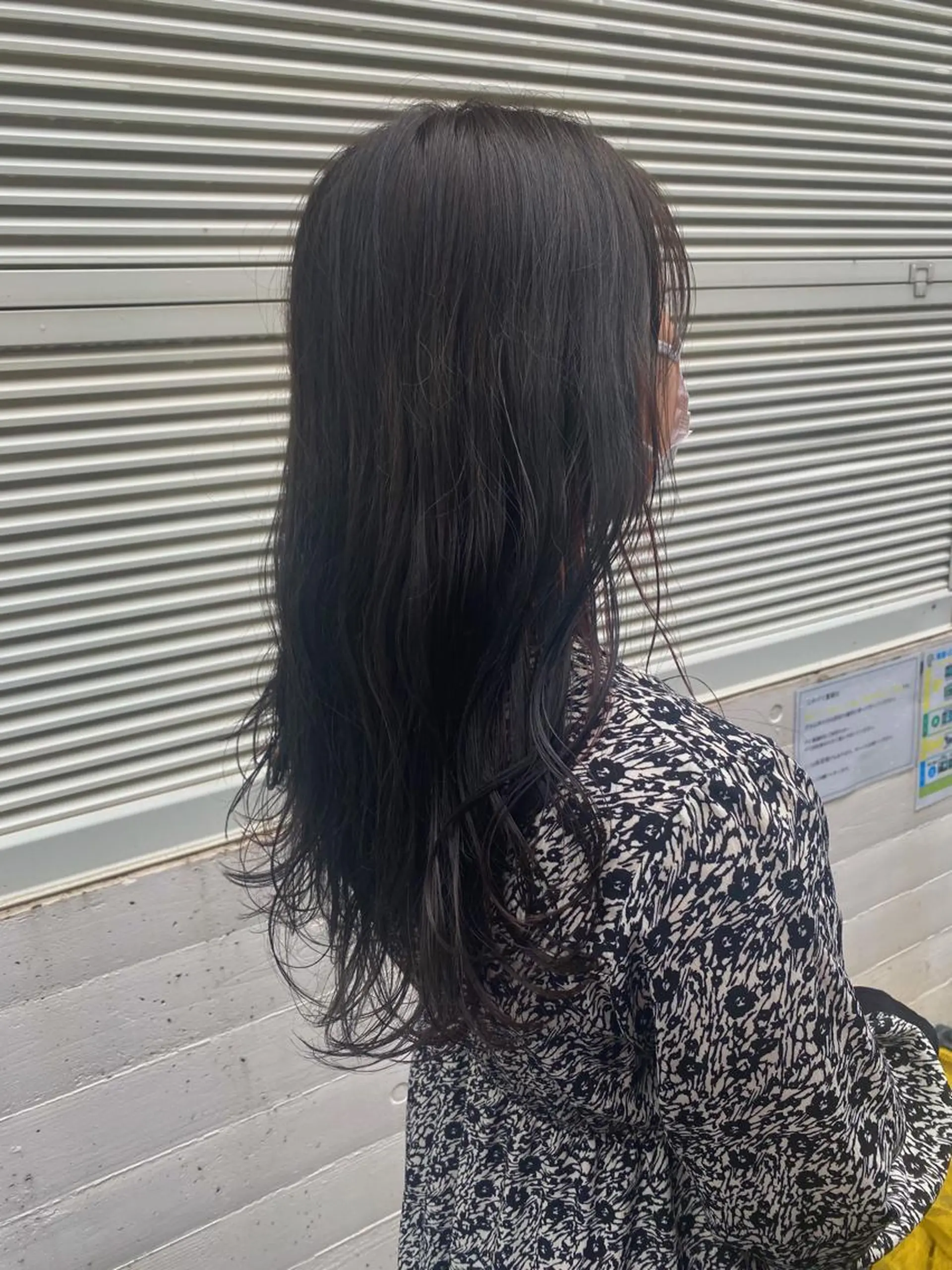 セミロング カラー 🟩白髪ぼかし/ボブ /ショートヘア/大司のヘアスタイル