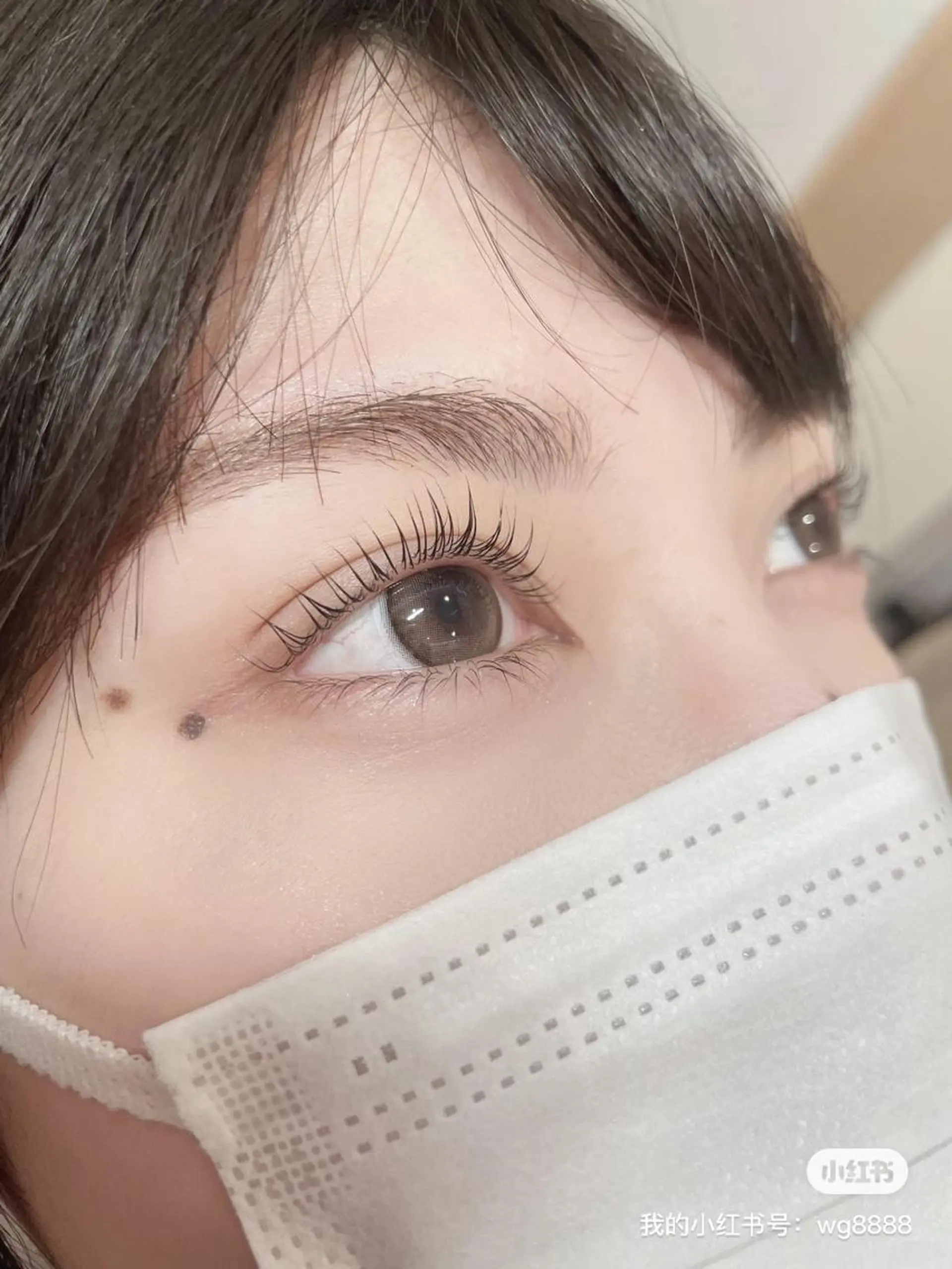 マツエク・マツパ Lカール マ サミのマツエク・マツパデザイン