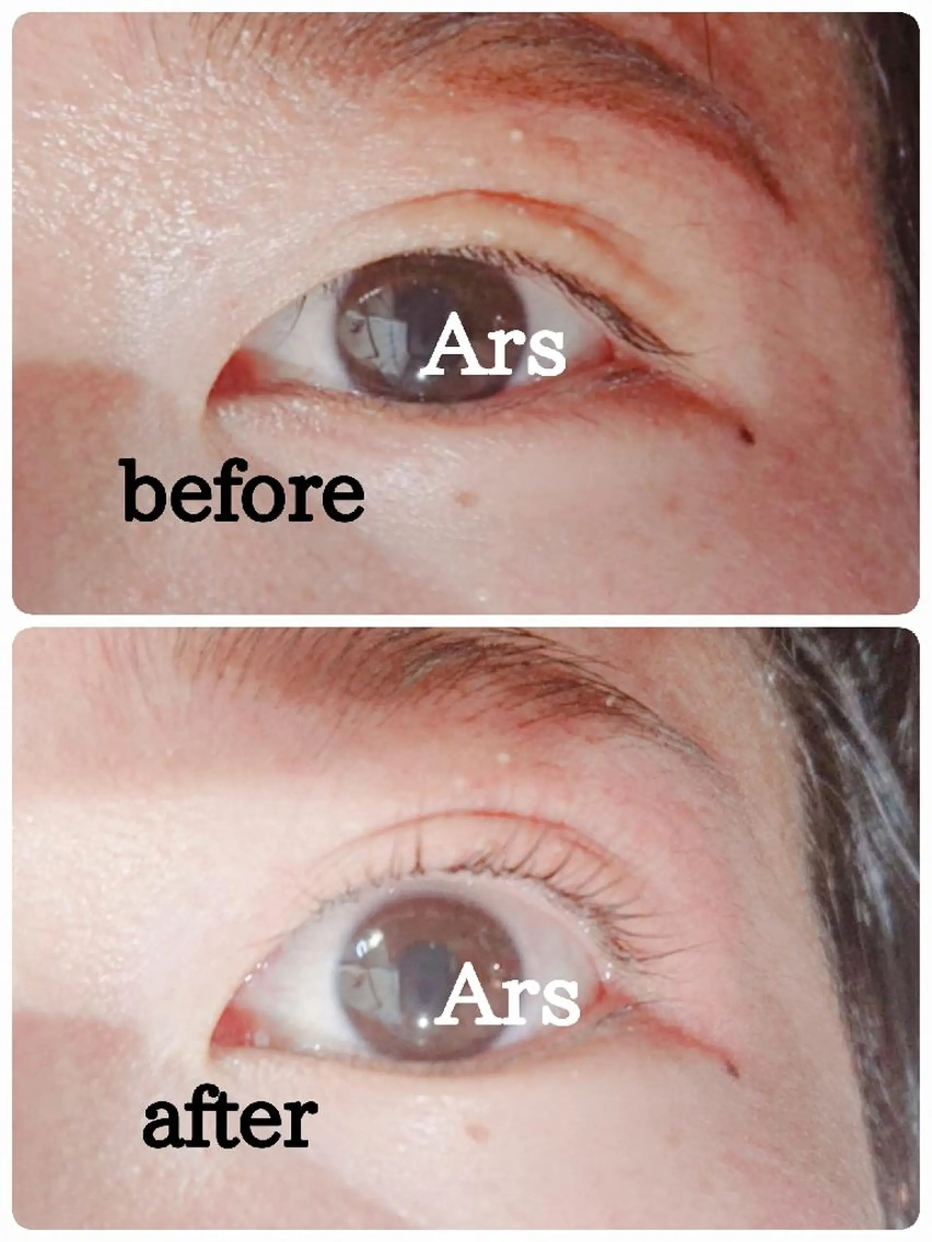 マツエク・マツパ アイリッドアップパーマ Ars      (ｱﾙｽ)のマツエク・マツパデザイン