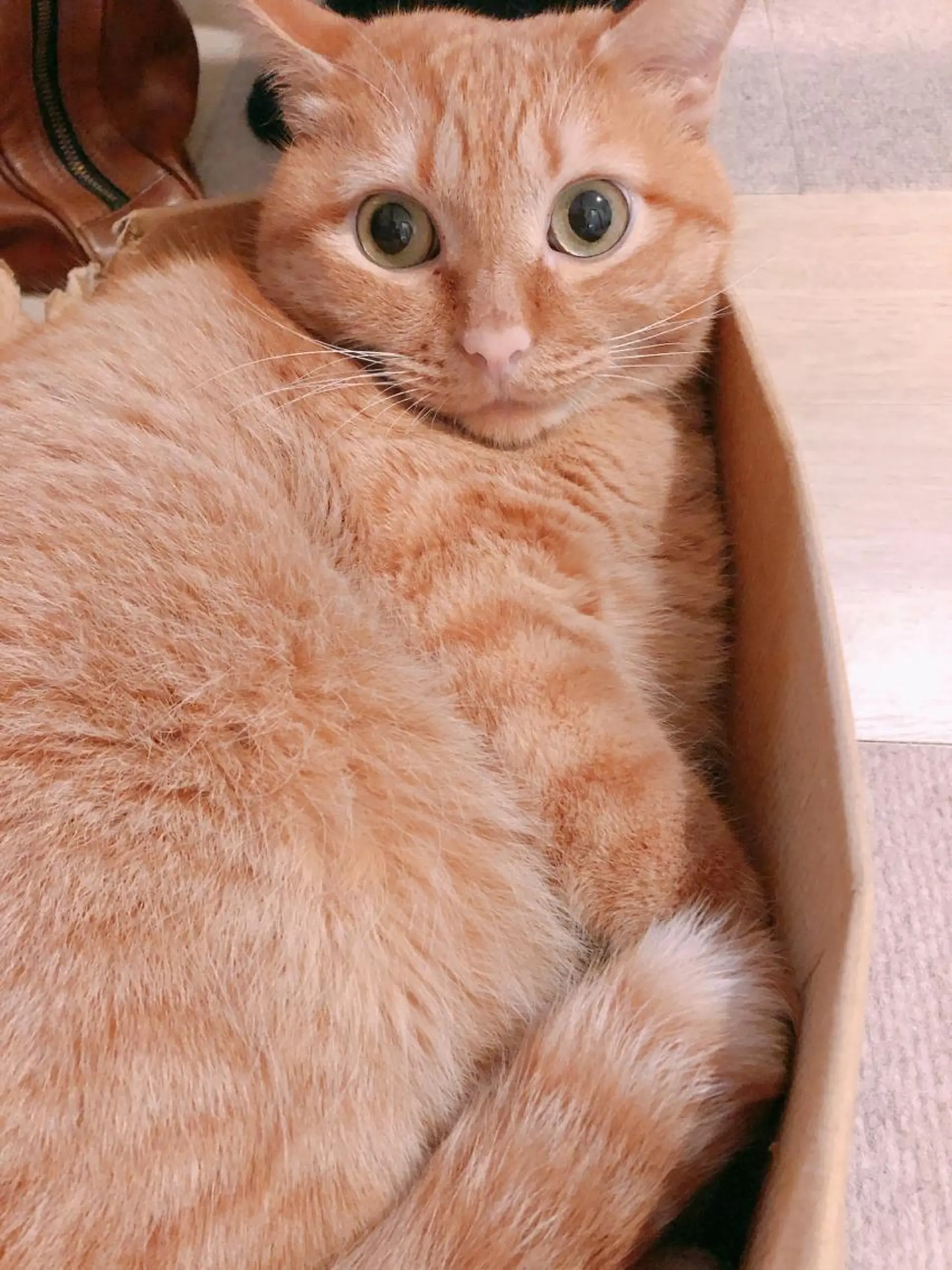 kiki nail &brow二子玉川の眉毛・アイブロウイメージ