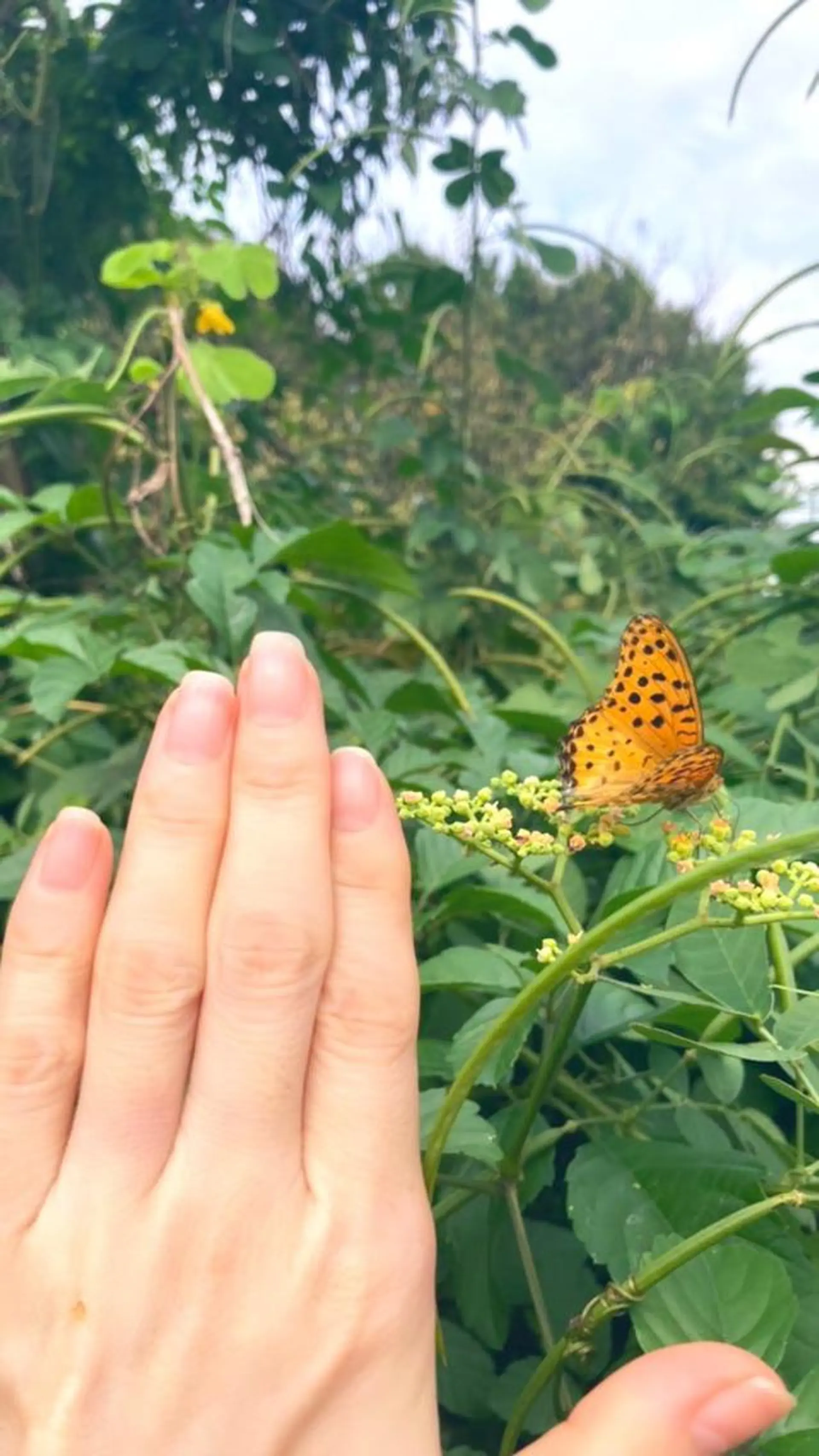 メンズ ネイル ケアリスト🍀 マリユキのネイルデザイン