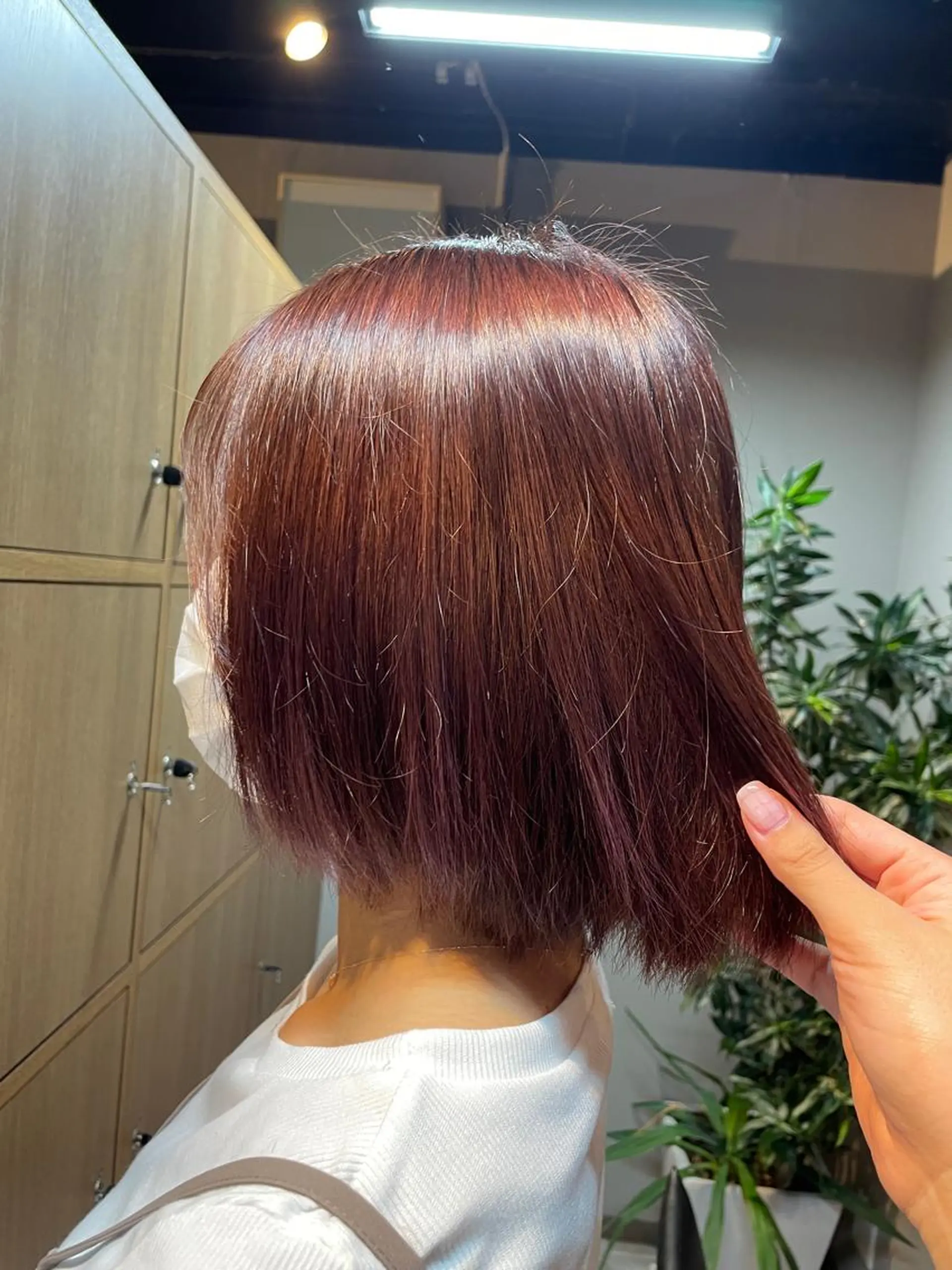 ミディアム カラー ブラウンカラー レッドカラー レッドブラウン マキノ キョウカのヘアスタイル