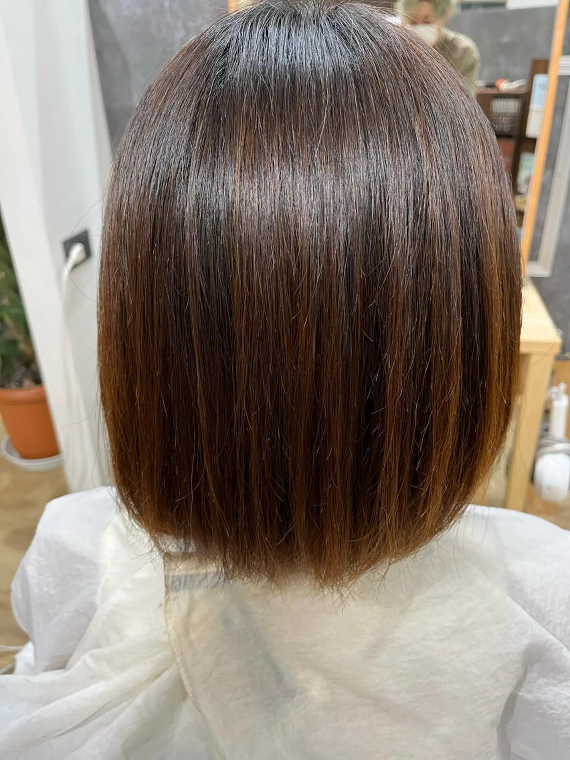 菊池 蓮のヘアスタイル