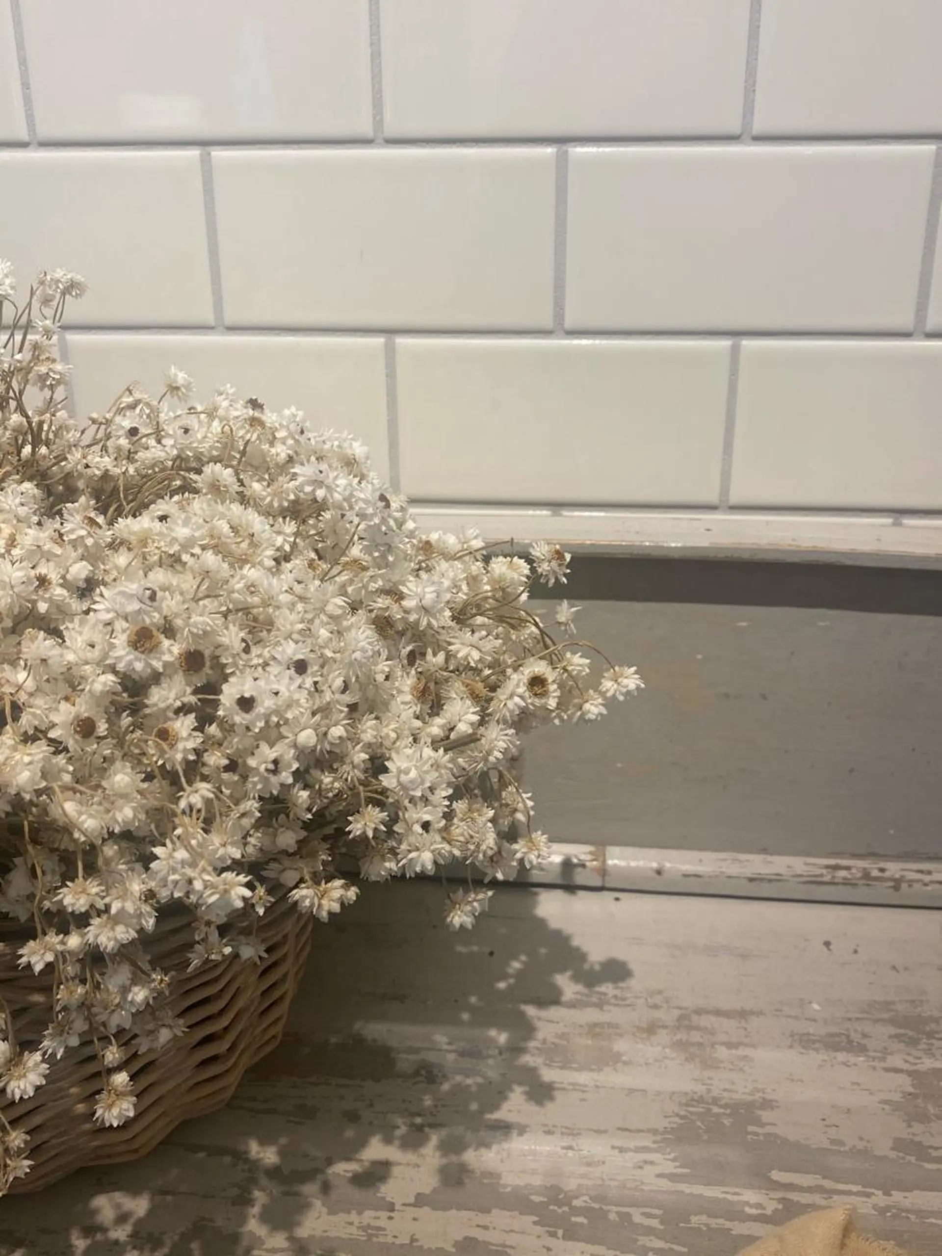 ∴Sanae. ∴ トータルビューティーのマツエク・マツパデザイン