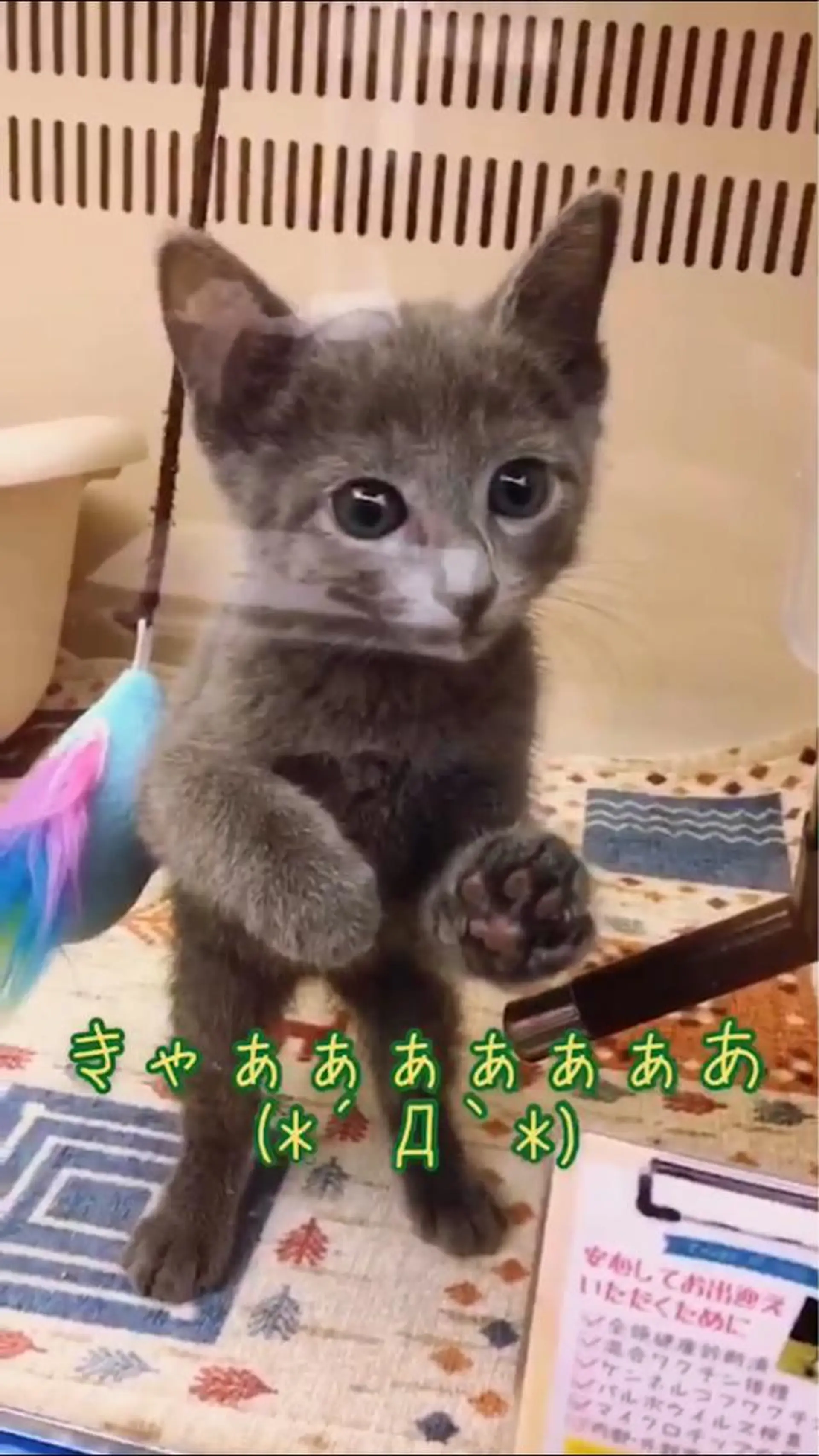 ショート カラー パーマ ヘアアレンジ メンズ キッズ ネイル マツエク・マツパ アニメ,Vオタク× 即効痩せエステサロンのエステ・リラクイメージ