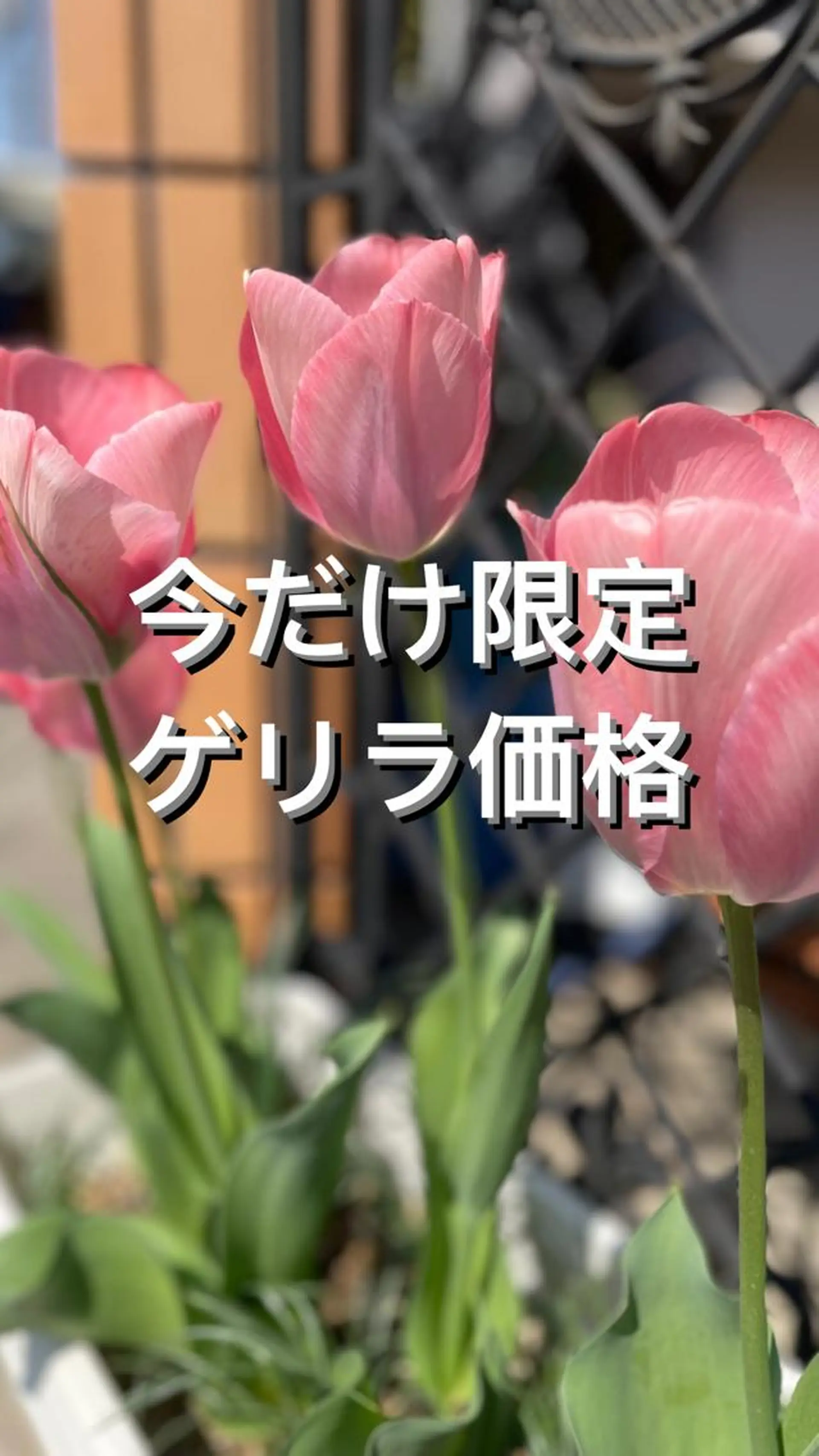 ネイル nail salon alivioのネイルデザイン