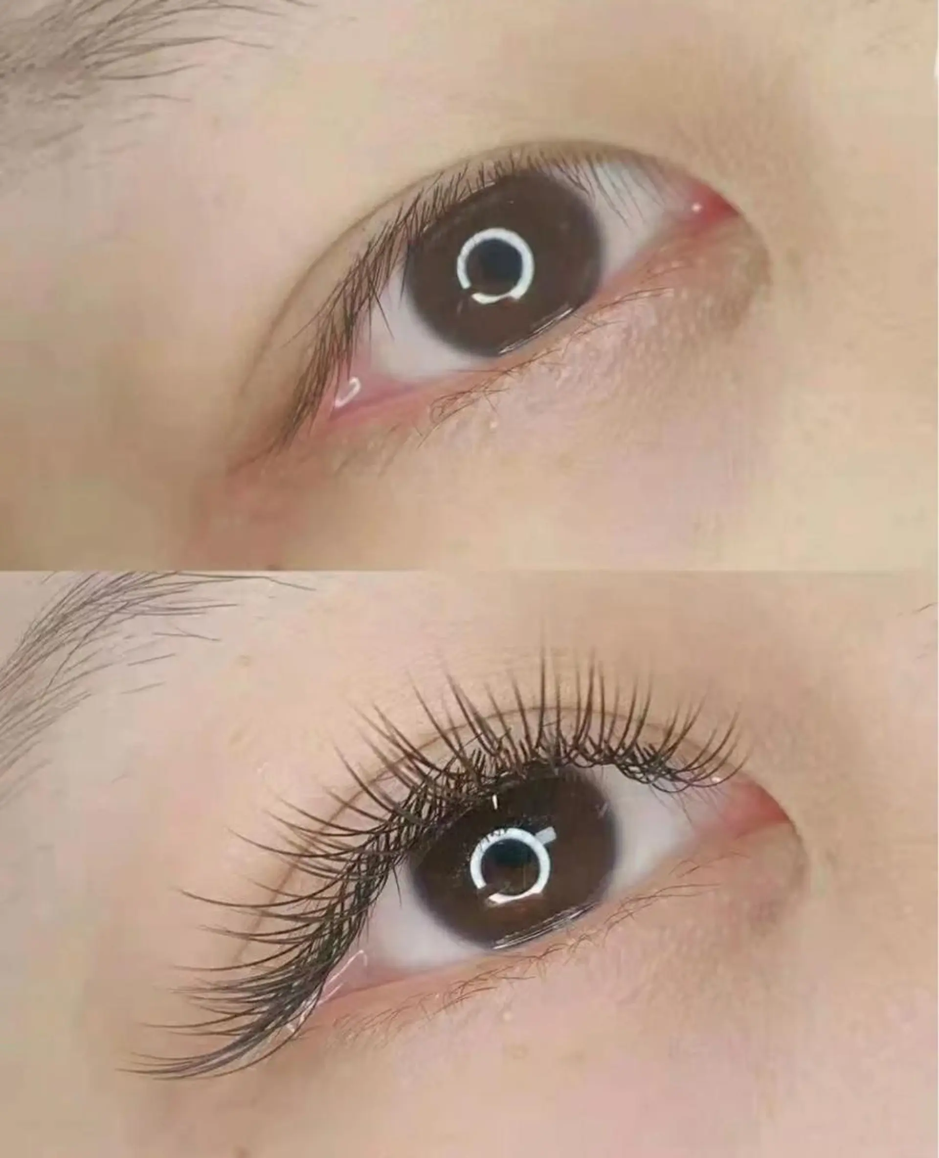 マツエク・マツパ 付け放題 Angela エステサロンのマツエク・マツパデザイン