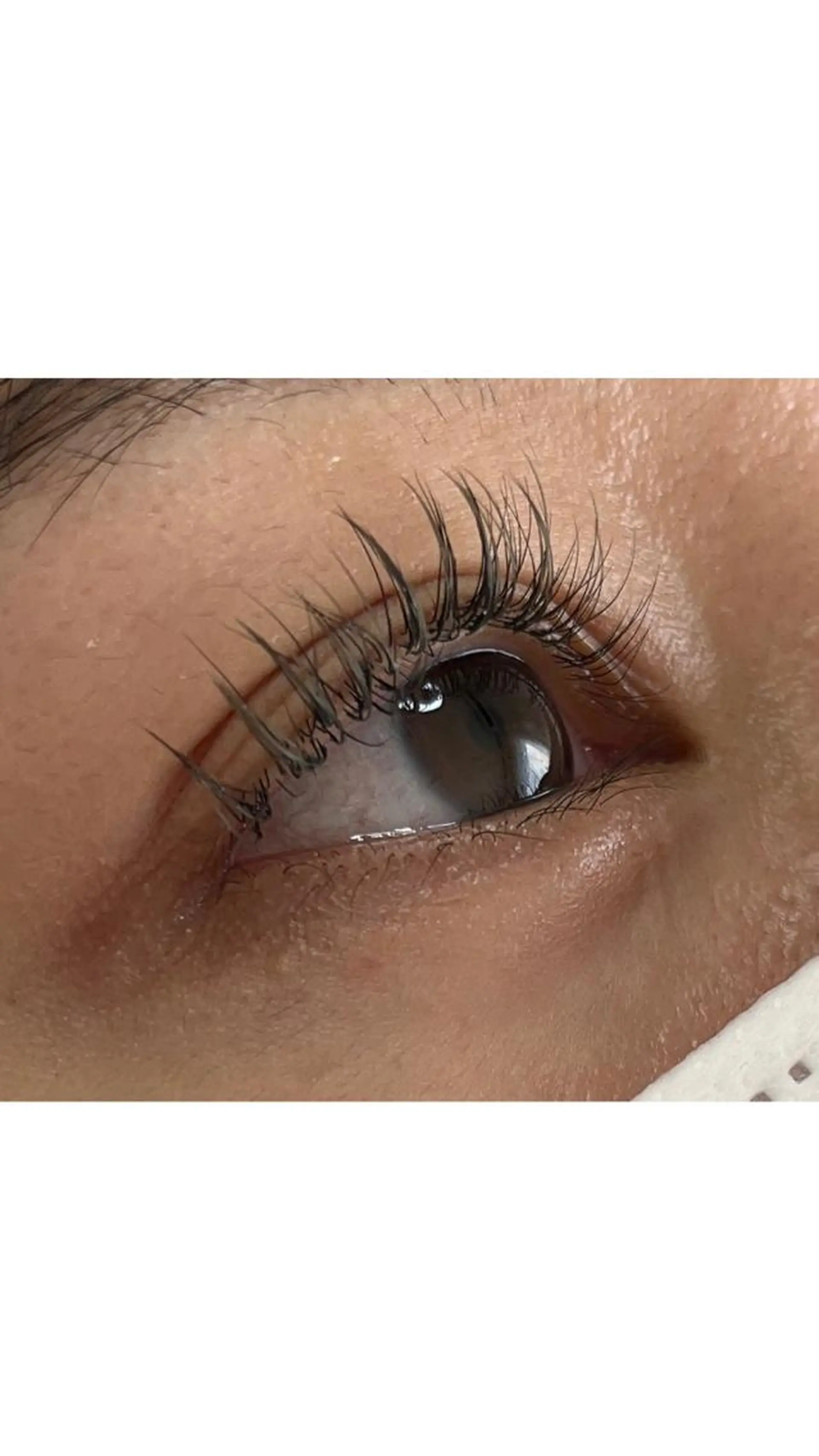 マツエク・マツパ フラットラッシュ マツエク ♡tiana juna˖ ࣪⊹のマツエク・マツパデザイン