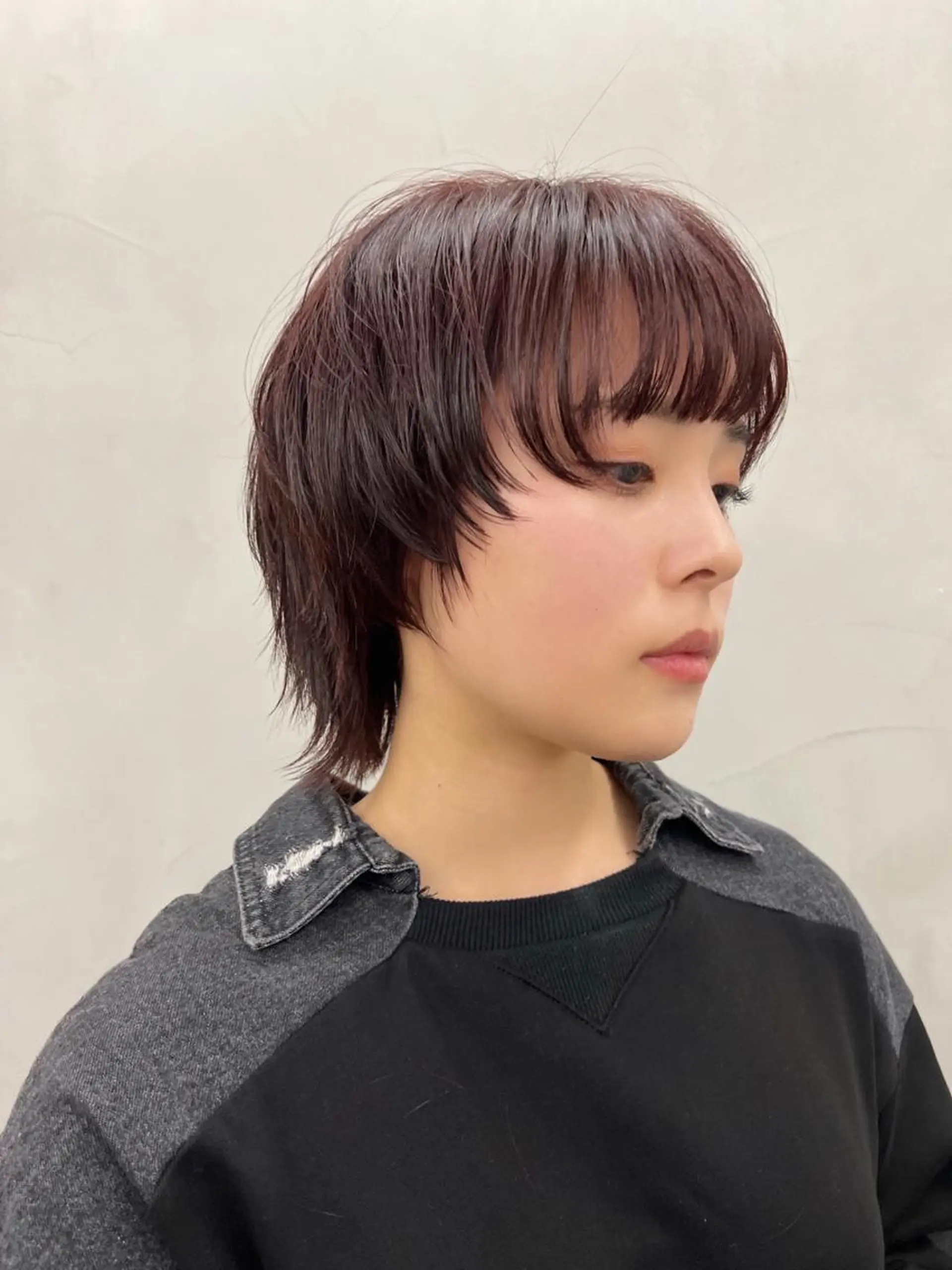 ショート カラー ウルフカット Kaito🐶/ボブ /レイヤー/デザインのヘアスタイル