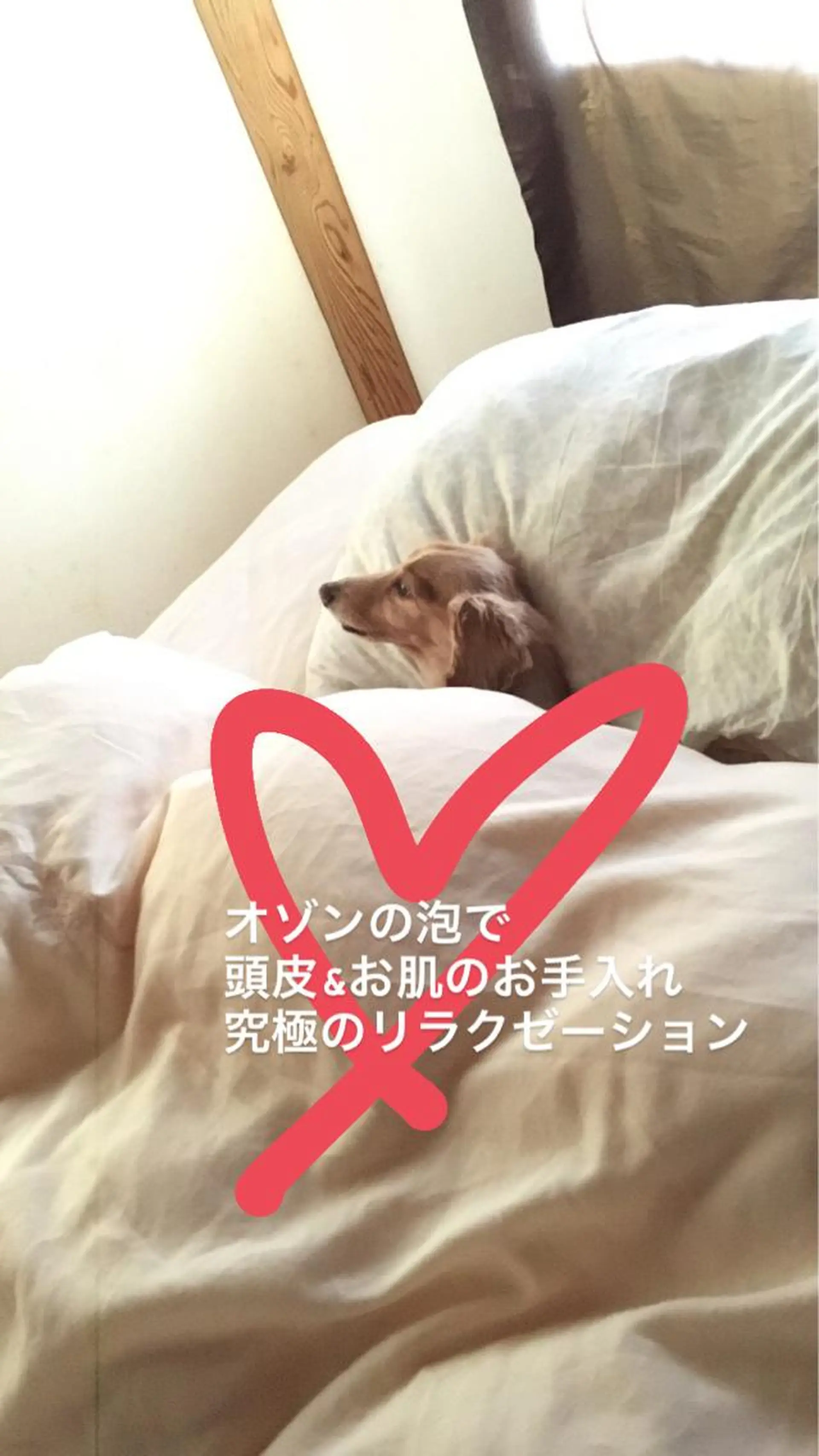 宇野澤 彩加のエステ・リラクイメージ