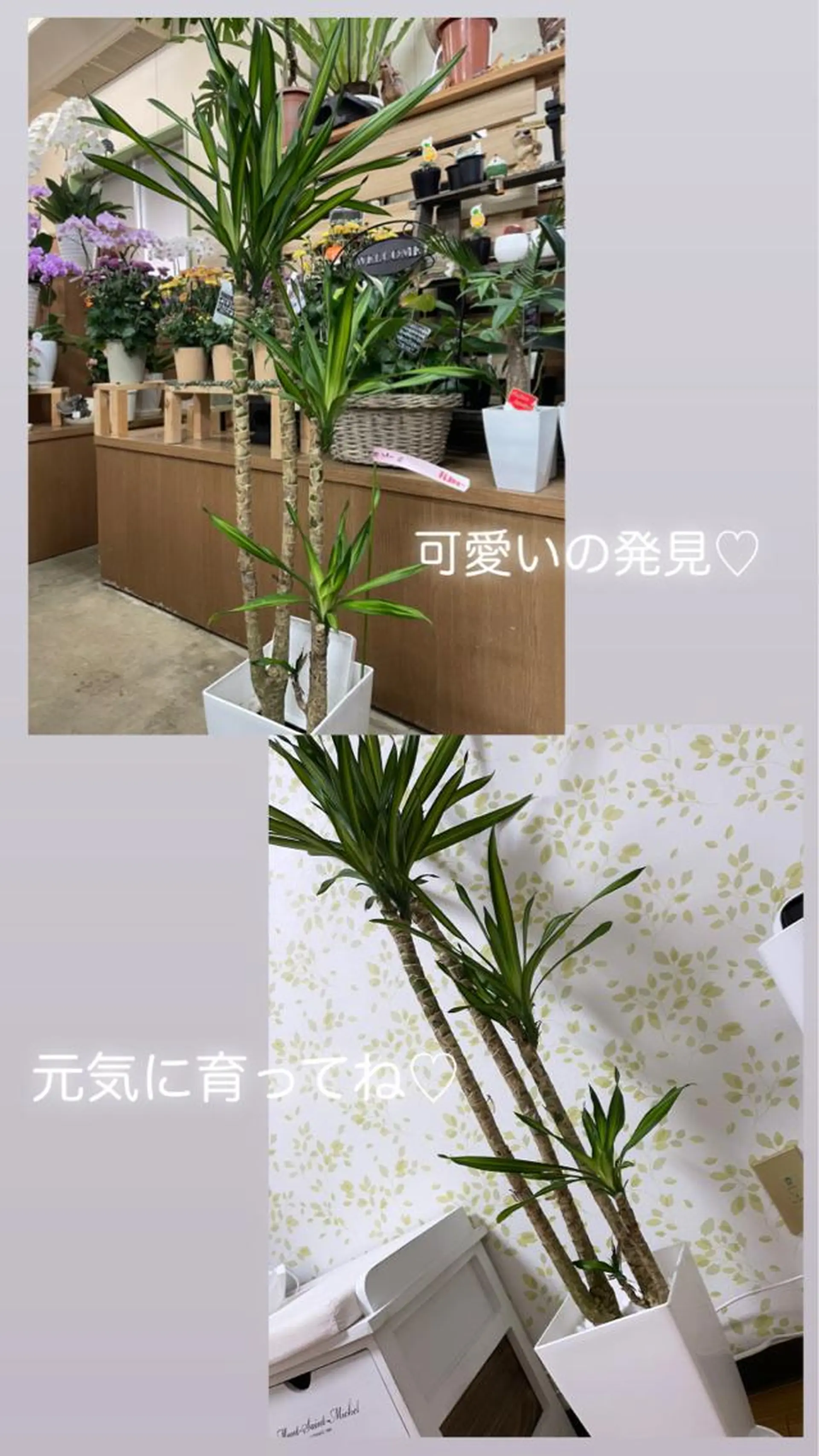 ネイル nail salon RE所属・nail salon REのネイルデザイン