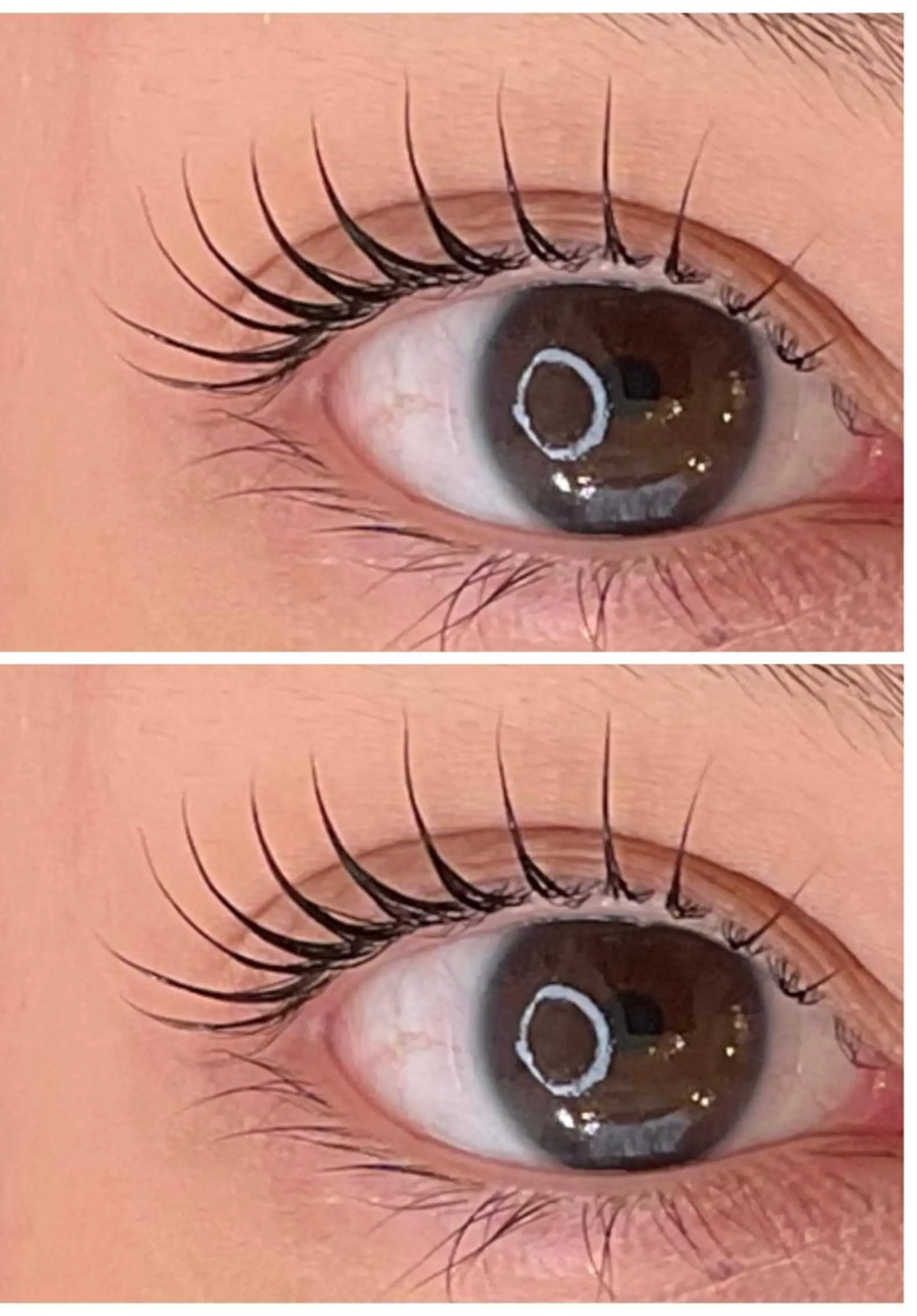 マツエク・マツパ パリジェンヌラッシュリフト まつげパーマ パリジェンヌ/まつパ RoseLashのネイルデザイン