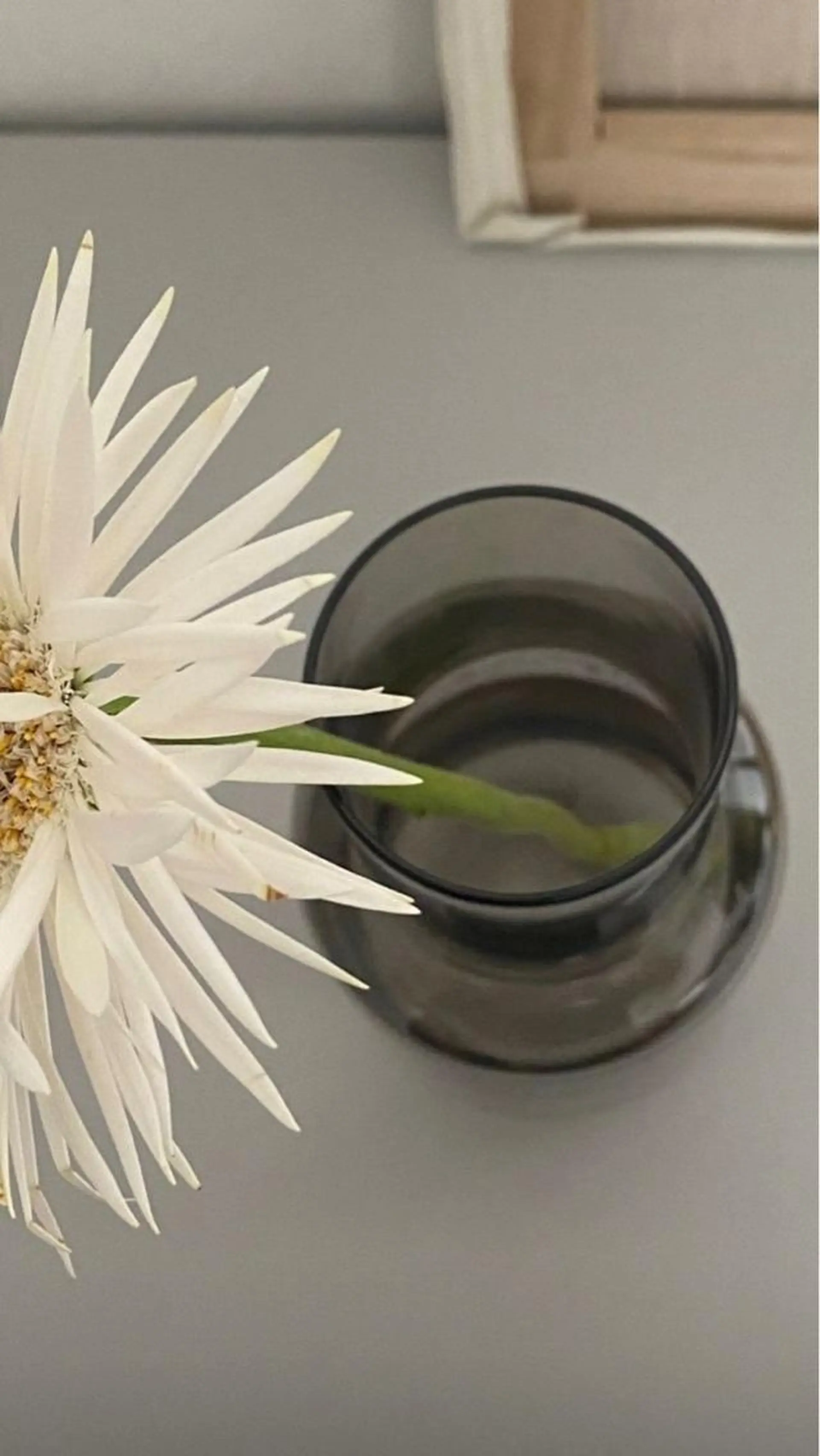 マツエク・マツパ Mellow rikoの眉毛・アイブロウイメージ