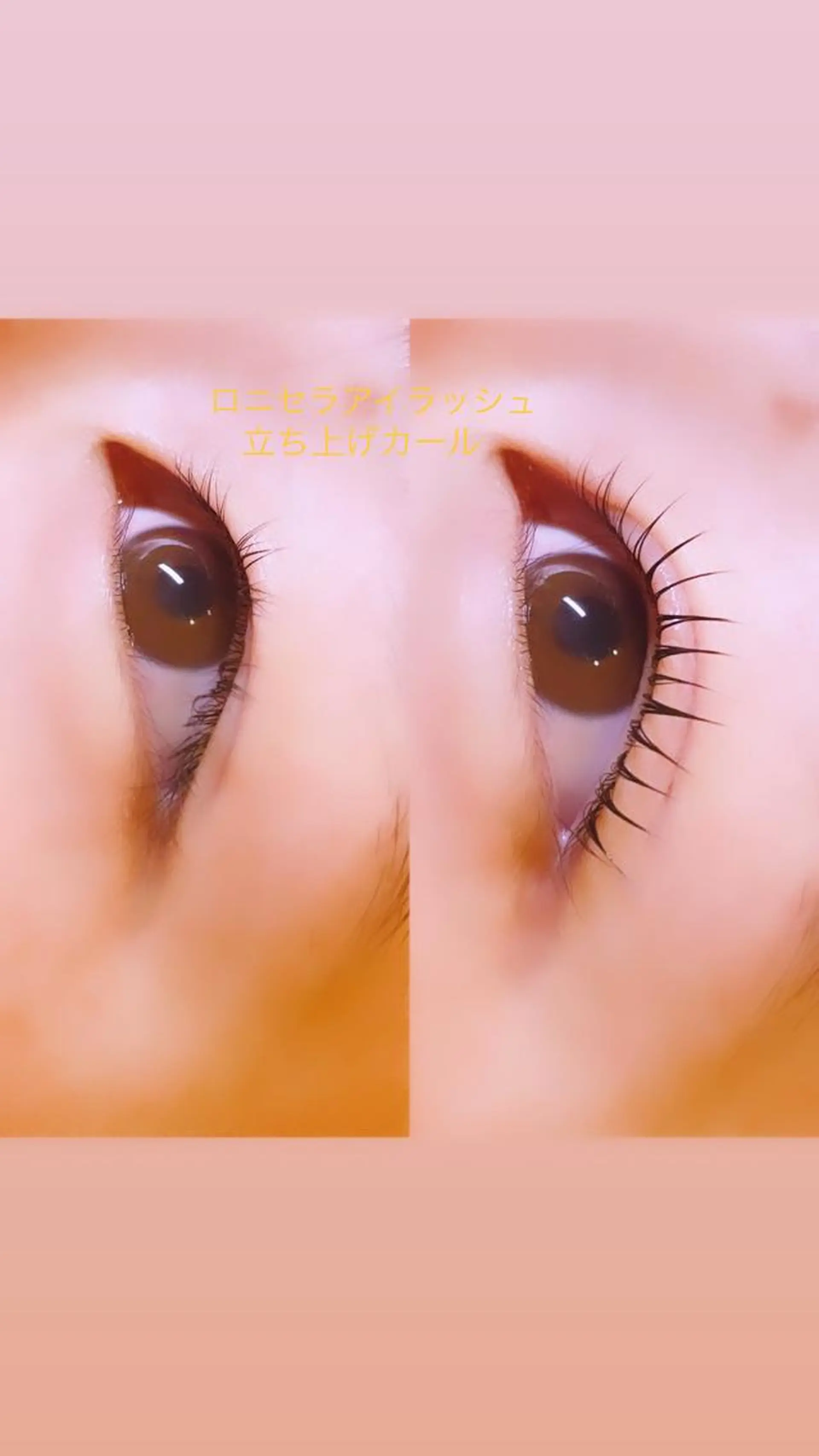 マツエク・マツパ 一重×まつ毛パーマ ロニセラ アイラッシュのマツエク・マツパデザイン