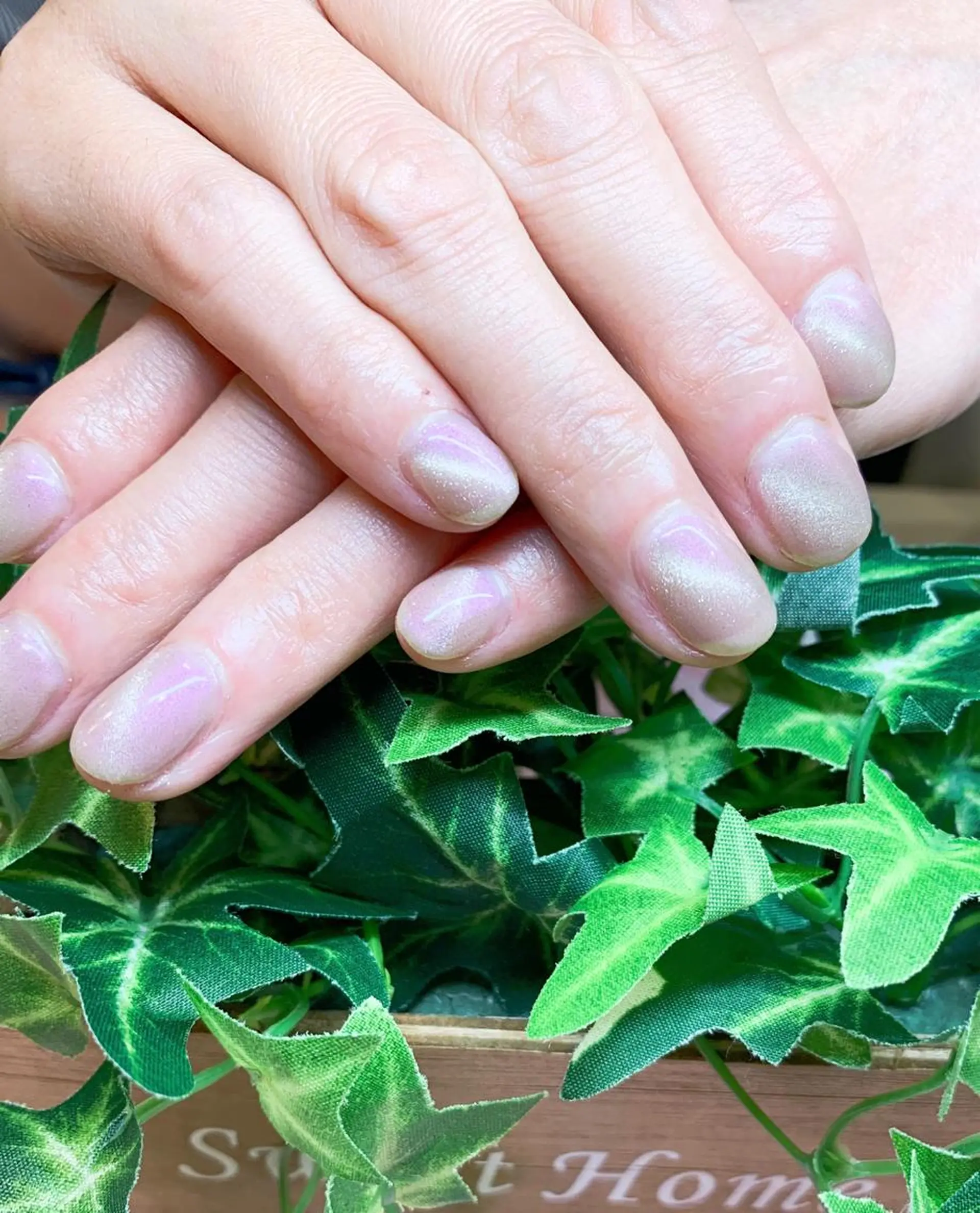 カラー ネイル マグネットネイル オフィスネイル Ui_Amor (パラジェル)のネイルデザイン