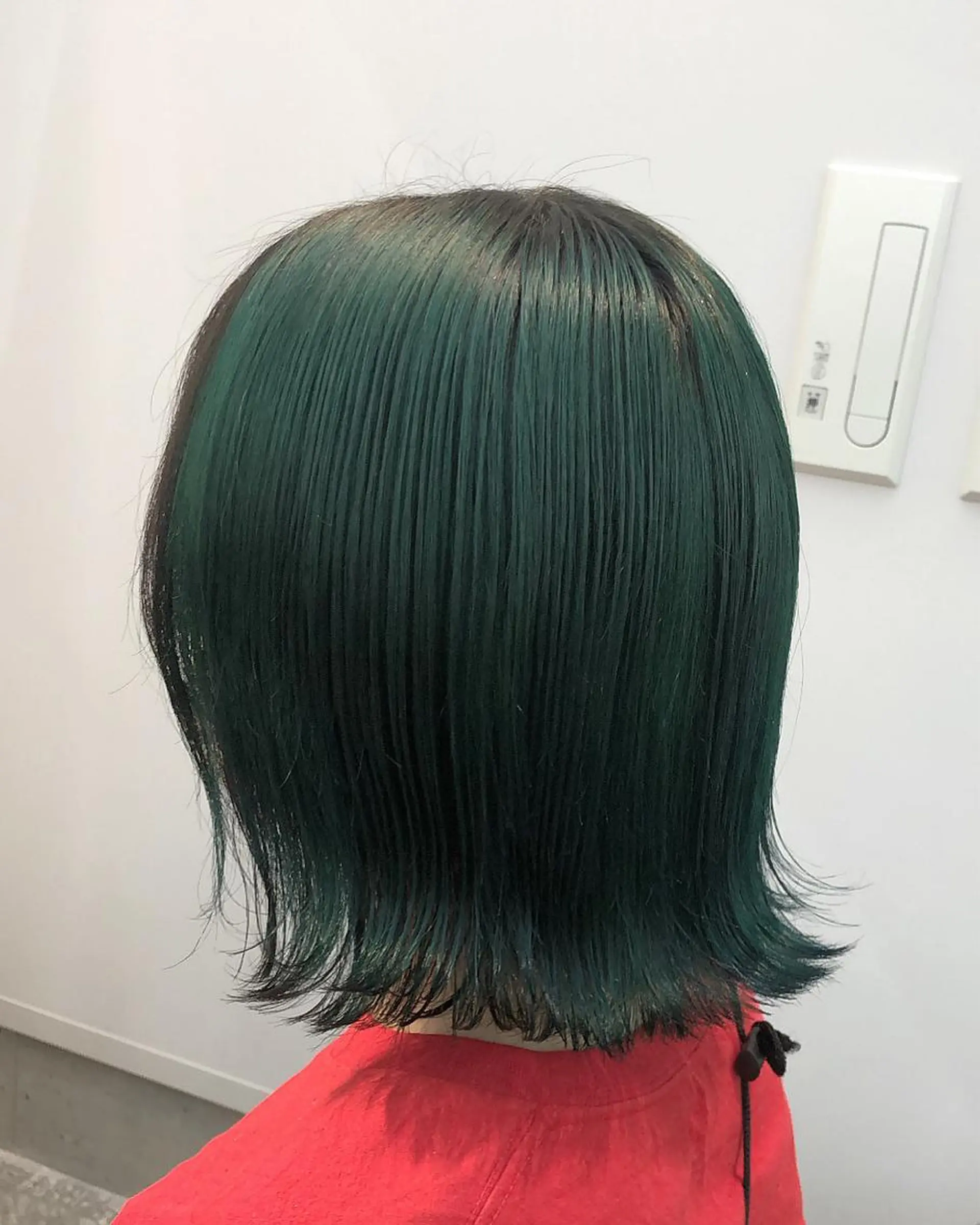 カラー ハイトーンカラー/ miyuuのヘアスタイル