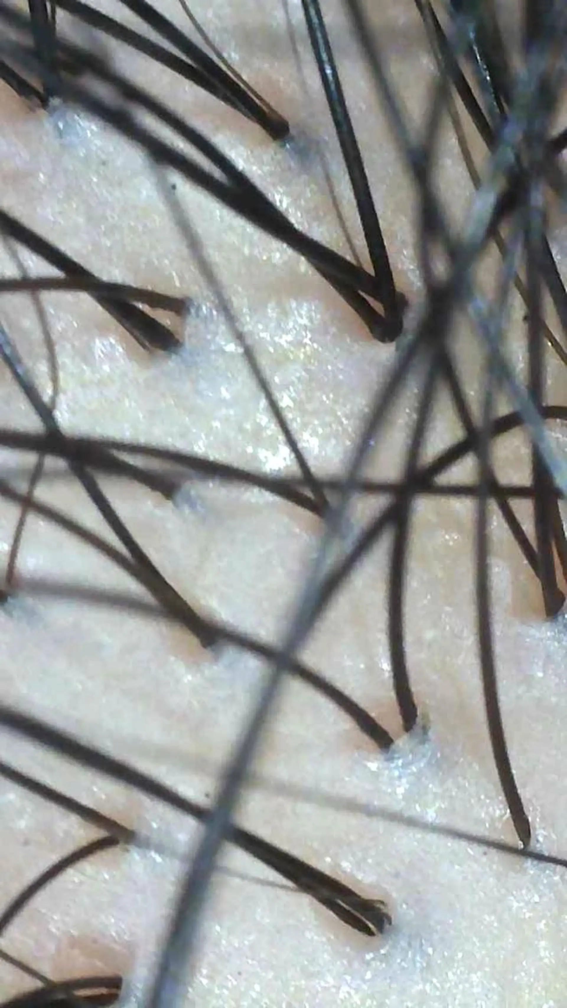 メンズ くせ改善師 髪質改善師ゴトウのヘアスタイル