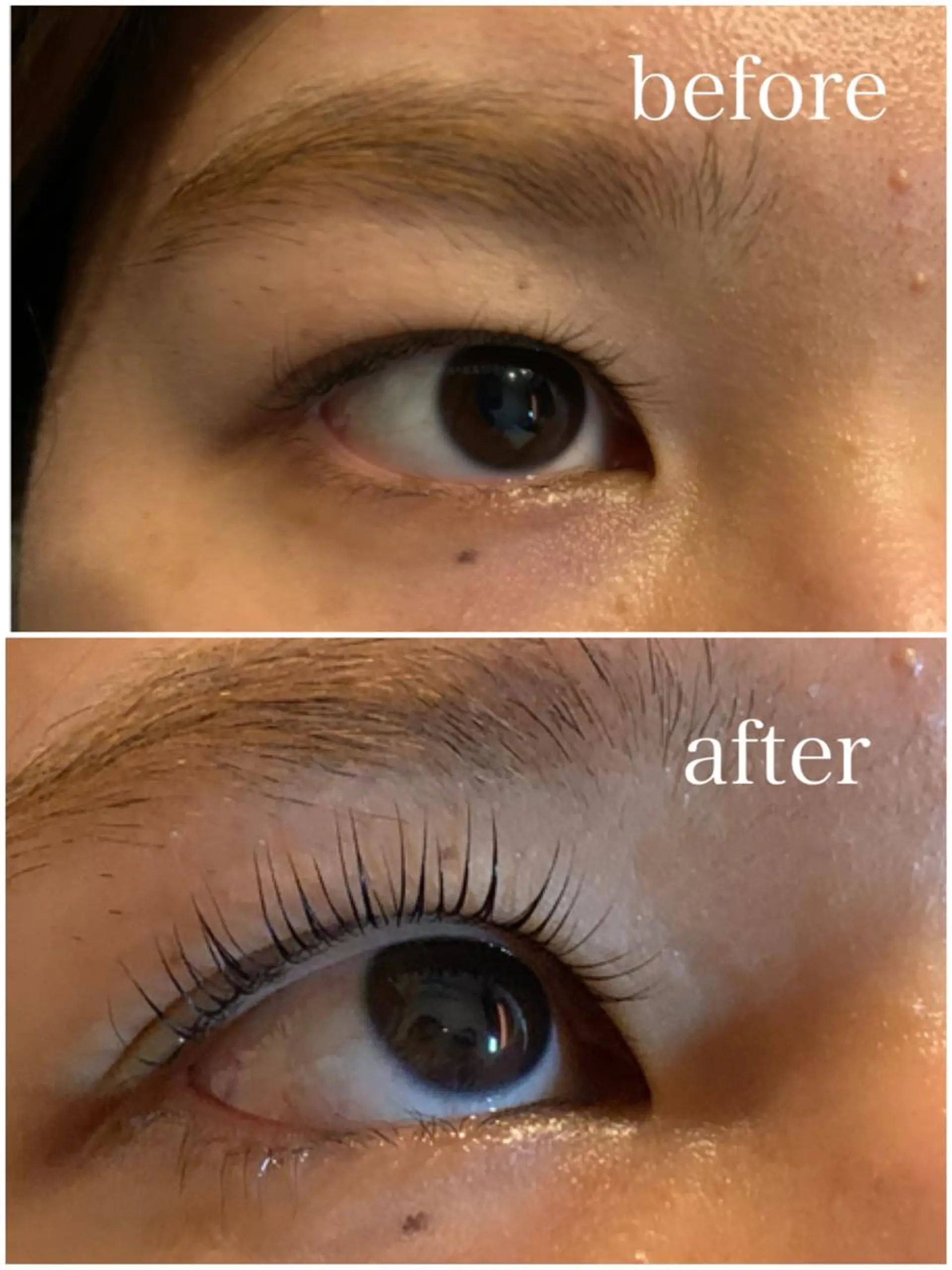 マツエク・マツパ il Anng ayumiのマツエク・マツパデザイン