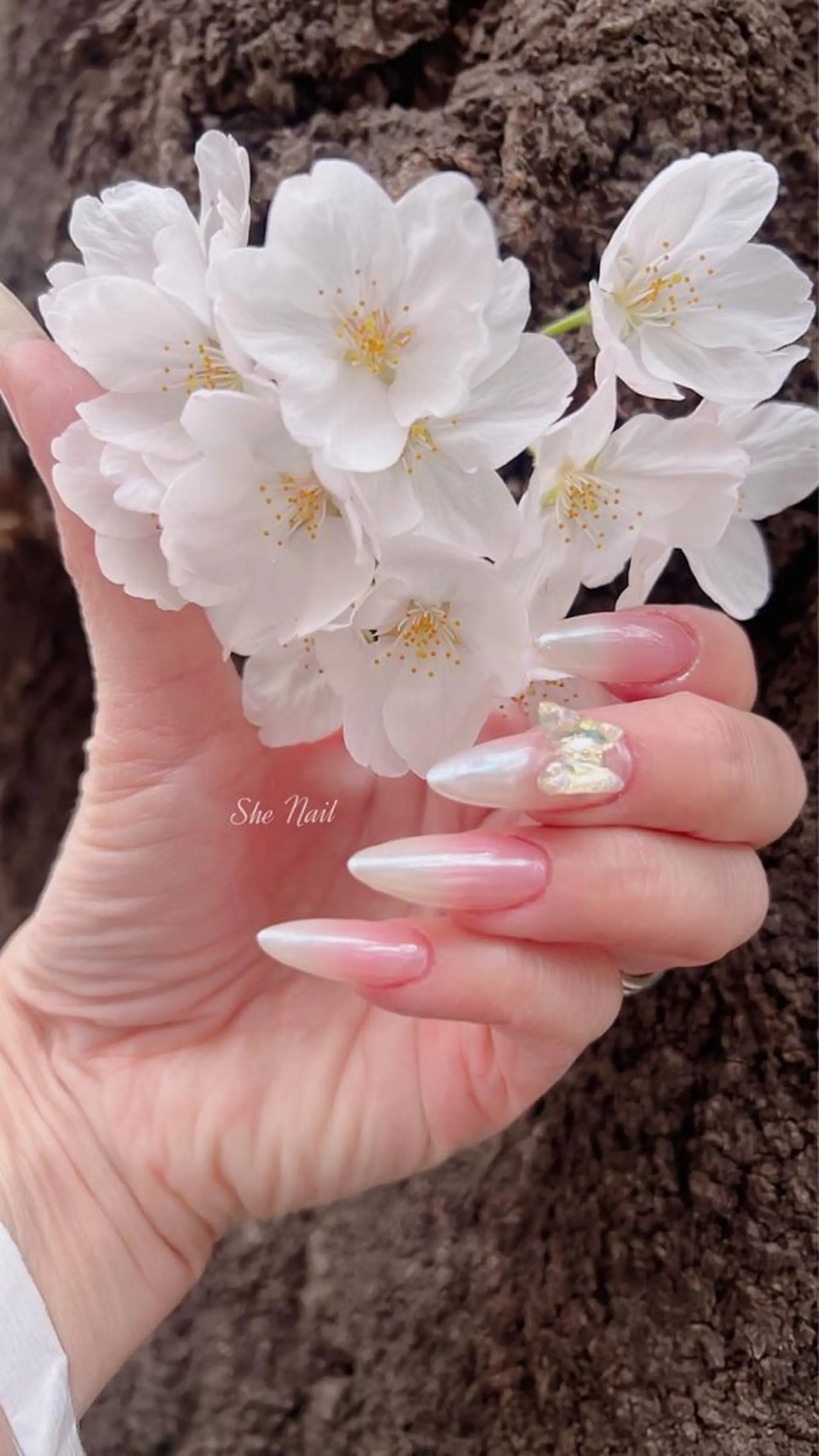 ネイル オーロラネイル チークネイル 長さ出し グラデーション マグネットネイル ハンドネイル She   Nail所属・ISA_ BELLAのネイルデザイン