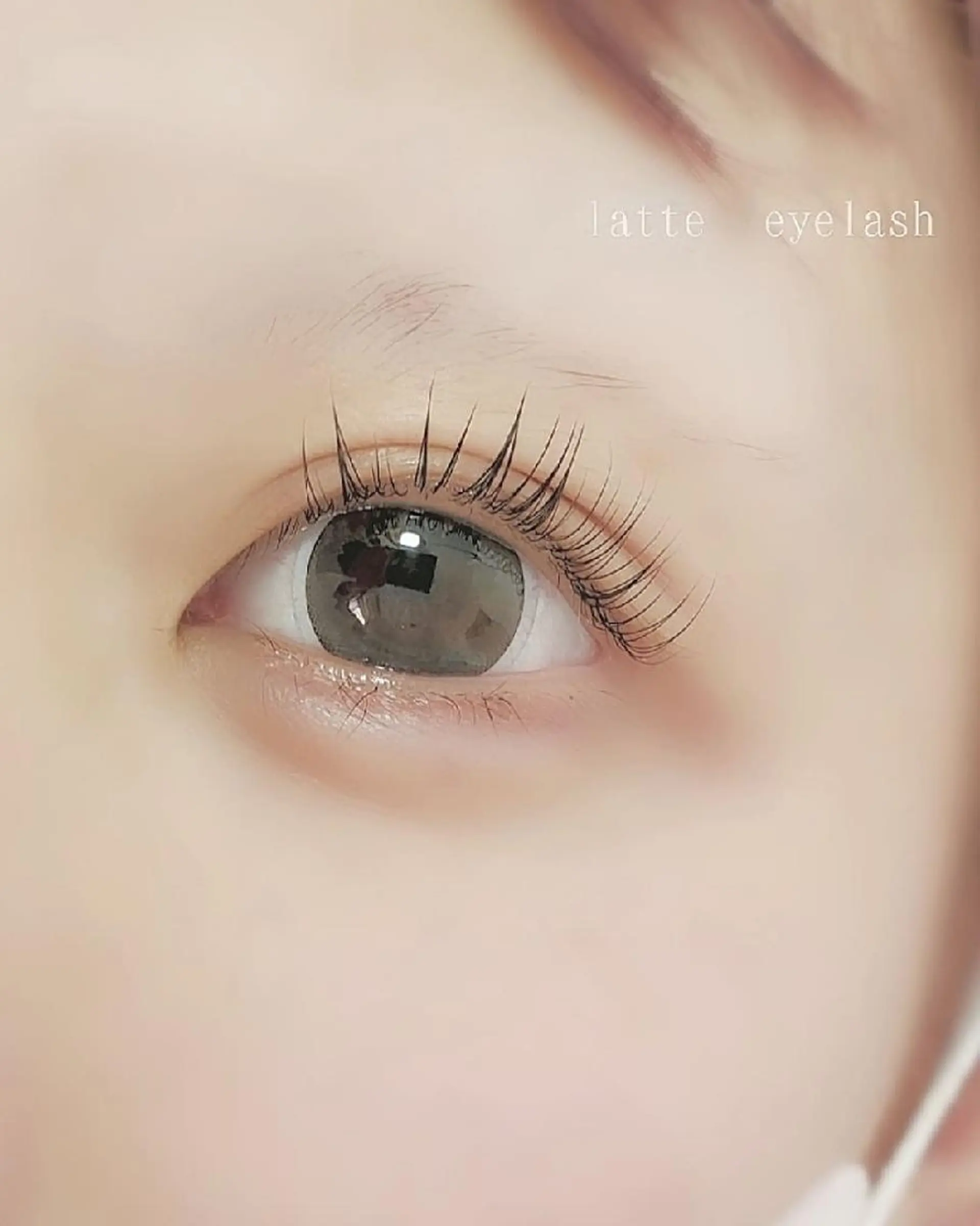 マツエク・マツパ パリジェンヌラッシュリフト LATTE eyelashのマツエク・マツパデザイン