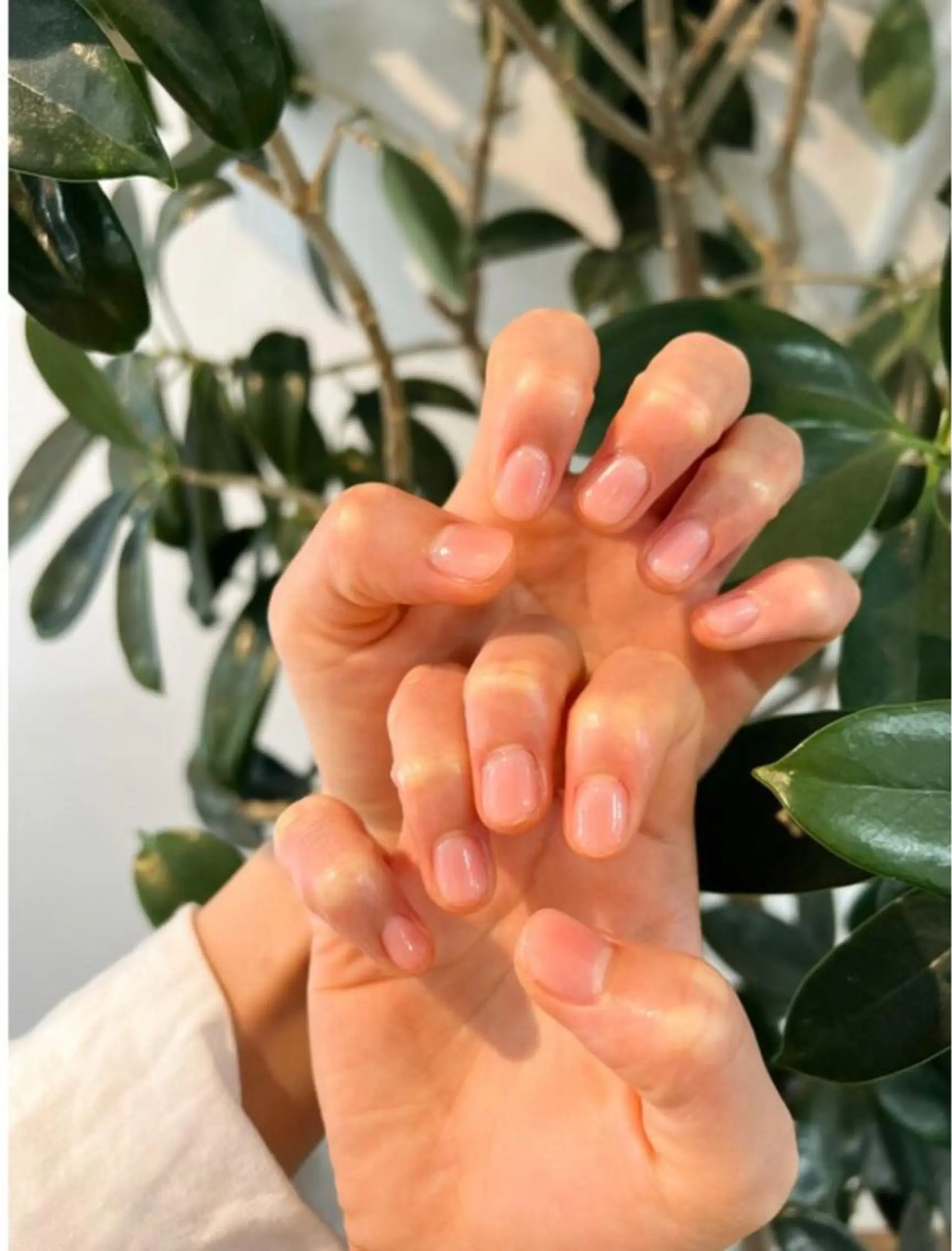 ネイル ハンドネイル risol. NAILのネイルデザイン