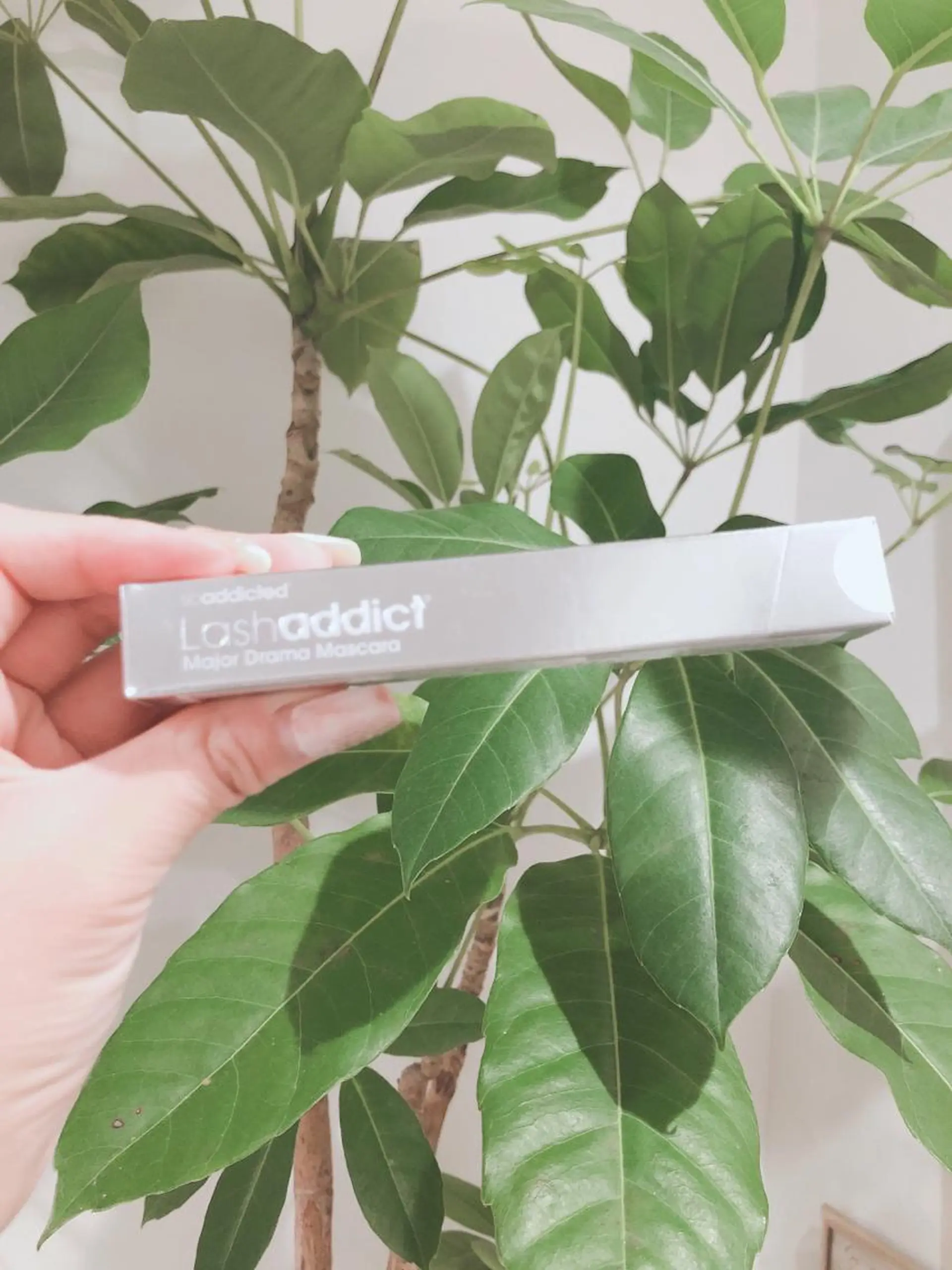 マツエク・マツパ MOCOE SATOMIのマツエク・マツパデザイン