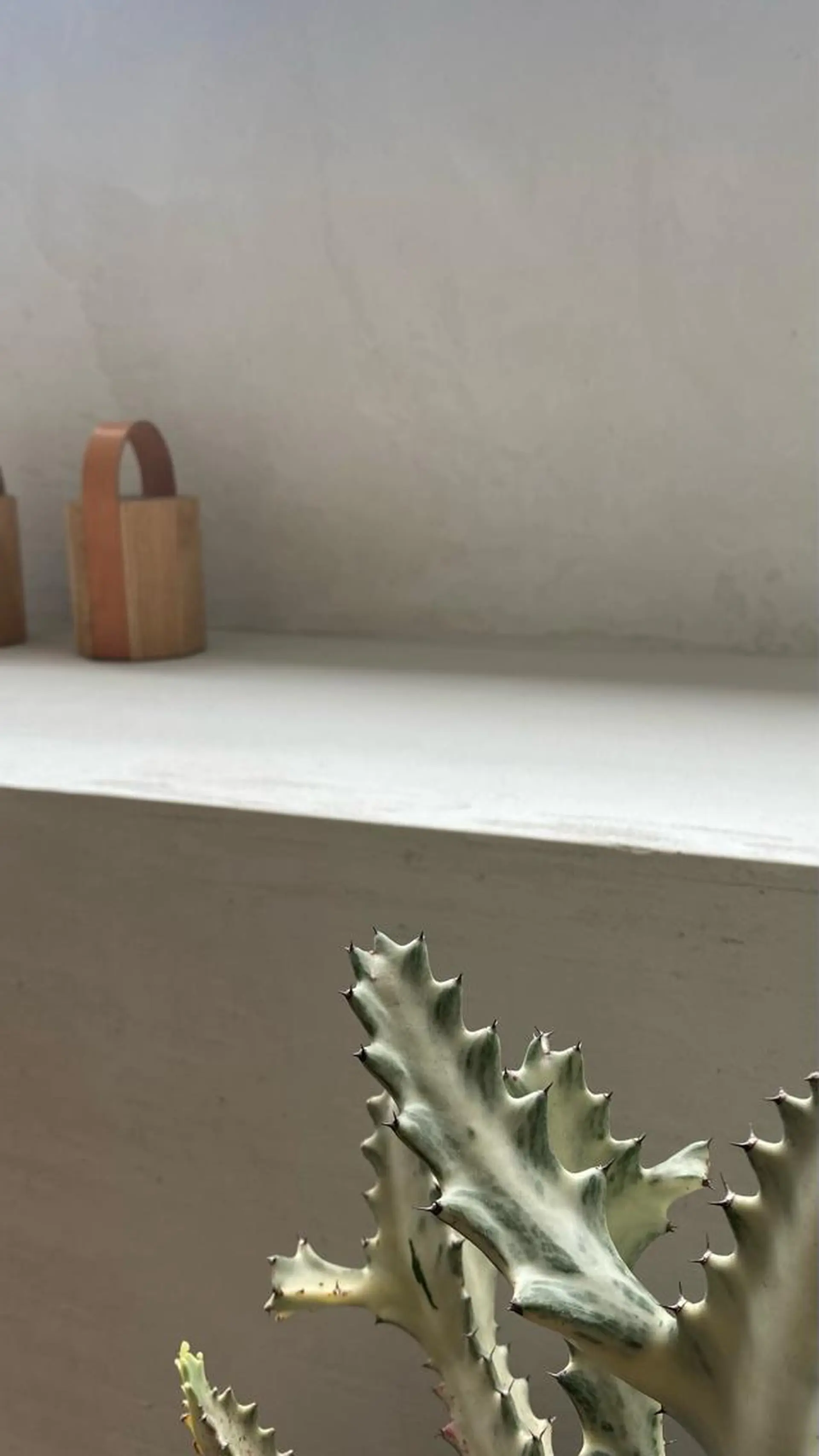 アイブロウ une 石橋阪大前・ 箕面・池田・蛍池のマツエク・マツパデザイン