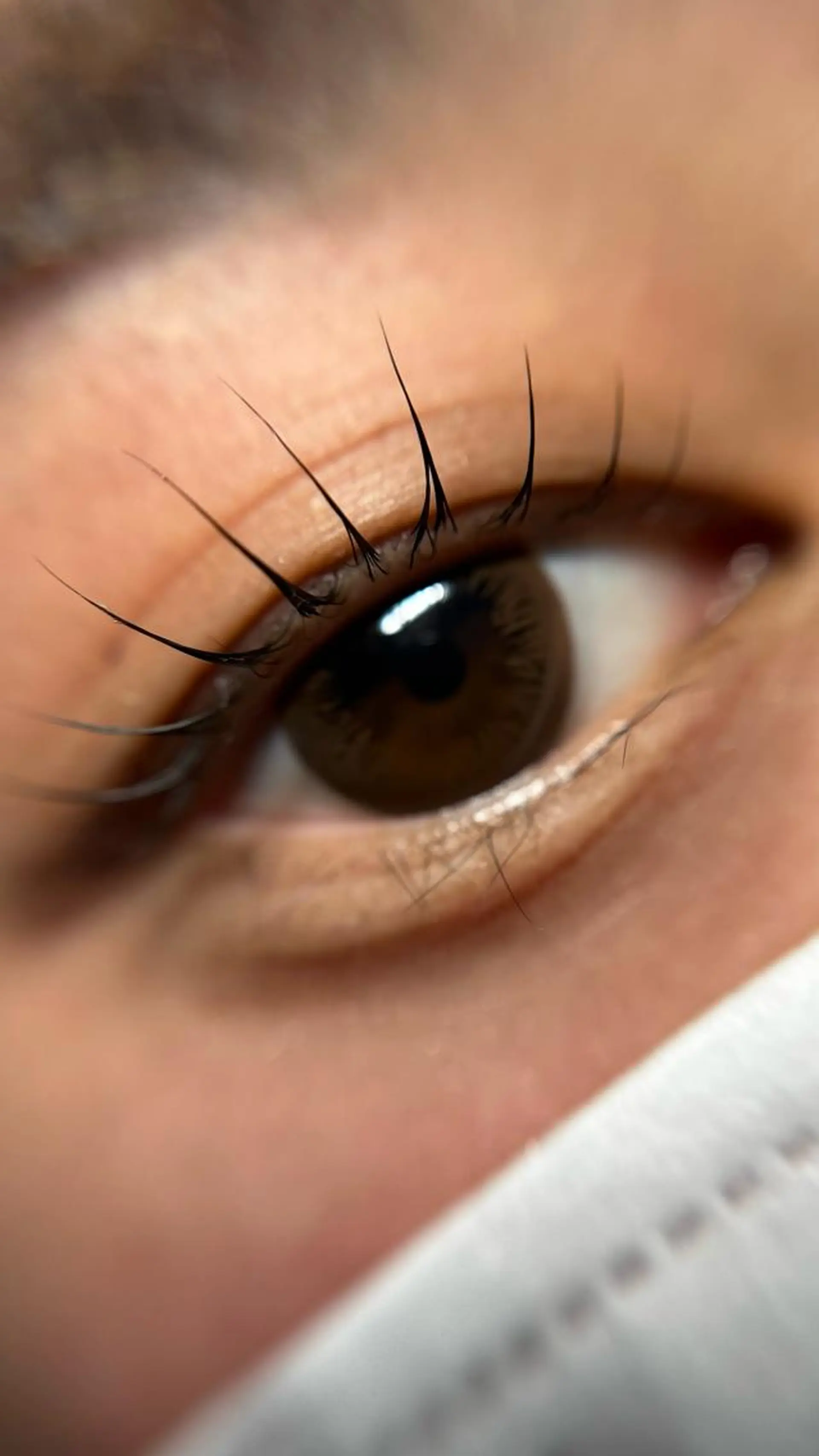 マツエク・マツパ パリジェンヌラッシュリフト komatsu eyelash恵比寿のマツエク・マツパデザイン