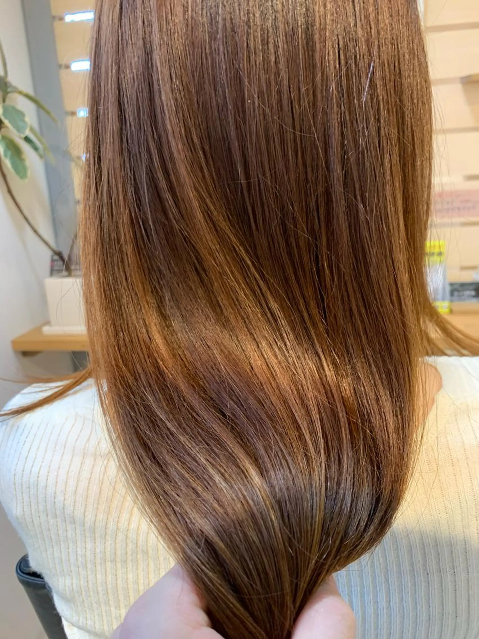 カラー 山本 舜也のヘアスタイル