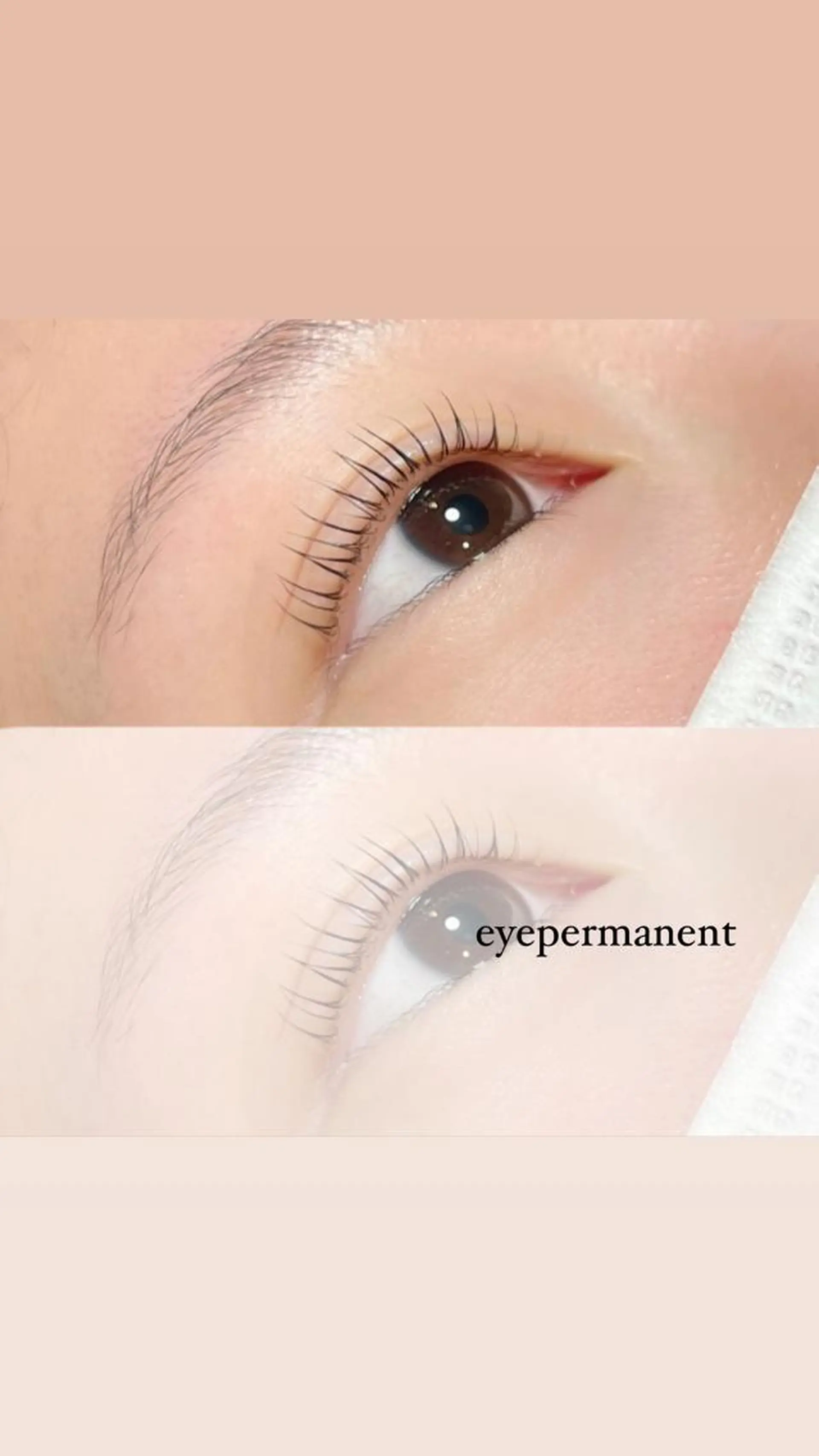 マツエク・マツパ マツパ mona 🎀韓国まつパ/眉毛のマツエク・マツパデザイン