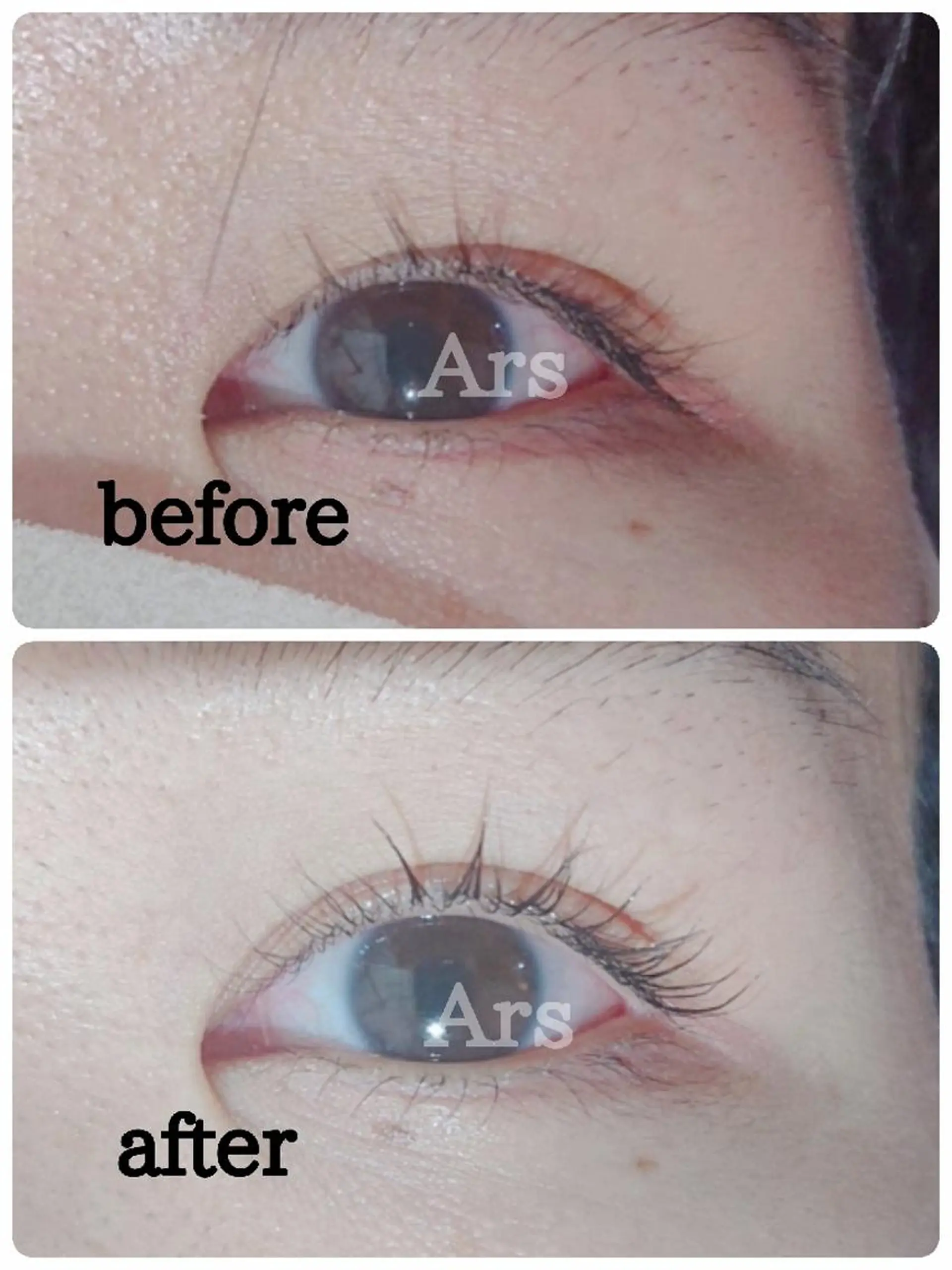 マツエク・マツパ アイリッドアップパーマ Ars      (ｱﾙｽ)のマツエク・マツパデザイン