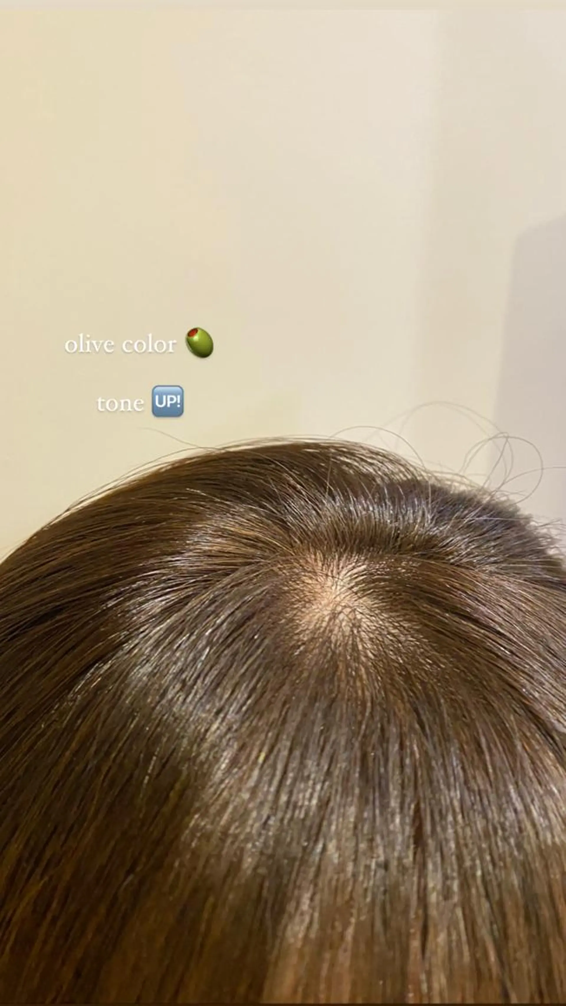 カラー ブリーチ ブリーチなしカラー 高発色ブリーチ/ ハイレイヤー🪽aiのヘアスタイル